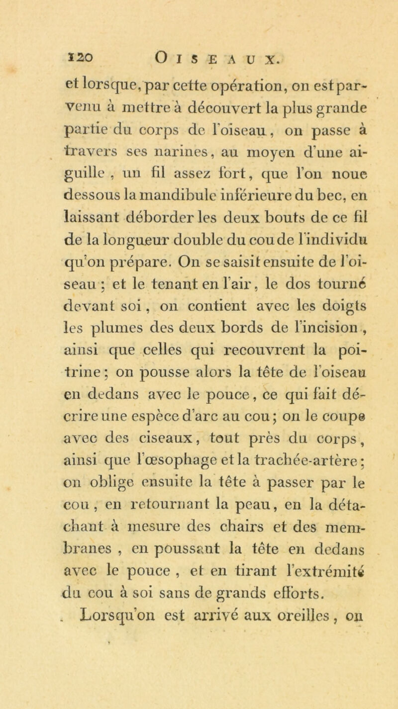 et lorsque, par cette opération, on est par- venu à mettre à découvert la plus grande partie du corps de l'oiseau, on passe à travers ses narines, au moyen dune ai- guille , un fil assez fort, que l’on noue dessous la mandibule inférieure du bec, en laissant déborder les deux bouts de ce fil de la longueur double du coude 1 individu qu’on prépare. O11 se saisit ensuite de l’oi- seau ; et le tenant en 1 air, le dos tourné devant soi, on contient avec les doigts les plumes des deux bords de l’incision , ainsi que celles qui recouvrent la poi- trine ; on pousse alors la tête de l'oiseau en dedans avec le pouce, ce qui fait dé- crire une espèce d’arc au cou; on le coupe avec des ciseaux, tout près du corps, ainsi que l’œsophage et la trachée-artère ; on oblige ensuite la tête à passer par le cou, en retournant la peau, en la déta- chant à mesure des chairs et des mem- branes , en poussant la tête en dedans avec le pouce , et en tirant l’extrémité du cou à soi sans de grands efforts. . Lorsqu’on est arrivé aux oreilles , on