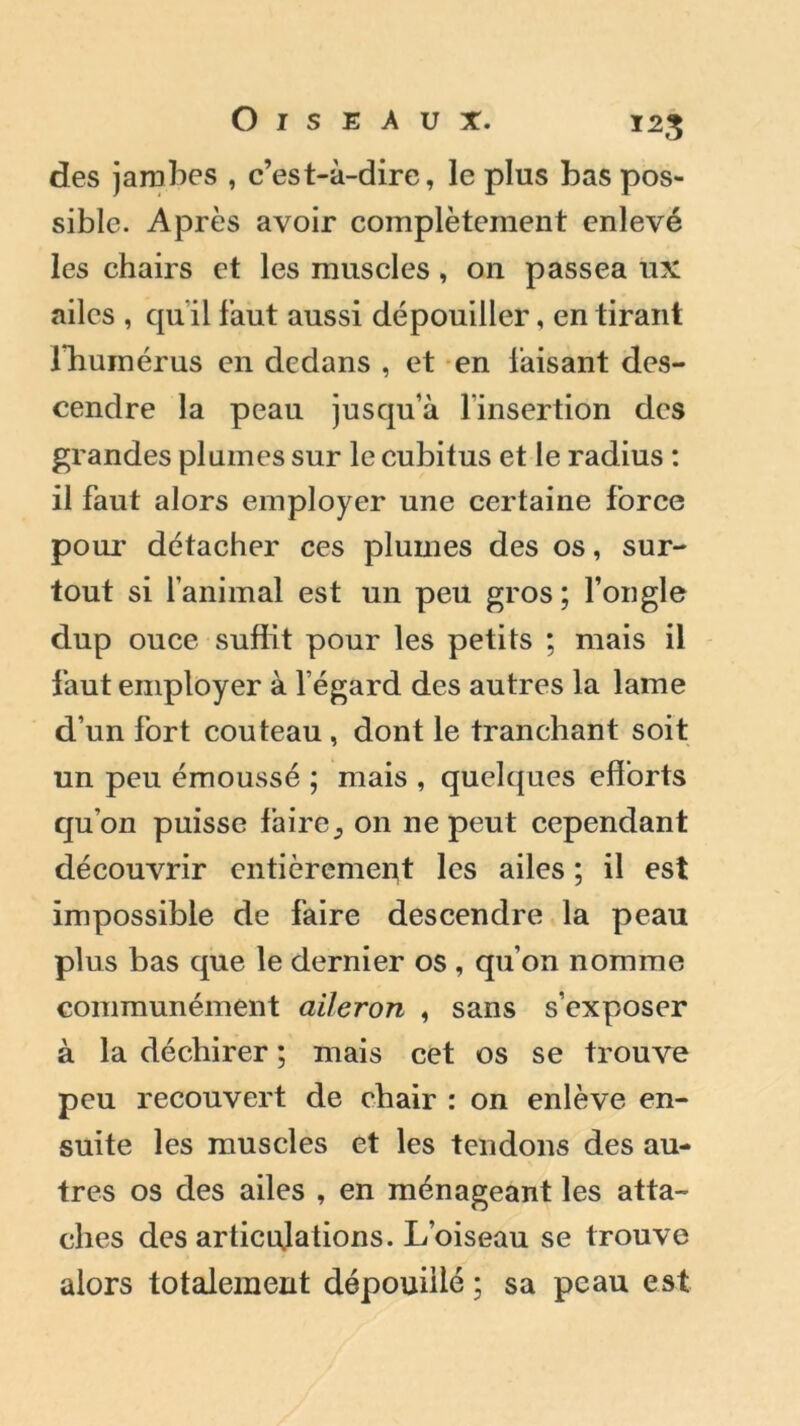 des jambes , c’est-à-dire, le plus bas pos- sible. Après avoir complètement enlevé les chairs et les muscles , on passea ux ailes , qu’il faut aussi dépouiller, en tirant l'humérus en dedans , et en faisant des- cendre la peau jusqu’à l’insertion des grandes plumes sur le cubitus et le radius : il faut alors employer une certaine force pour détacher ces plumes des os, sur- tout si l’animal est un peu gros ; l’ongle dup ouce suffit pour les petits ; mais il faut employer à l’égard des autres la lame d’un fort couteau , dont le tranchant soit un peu émoussé ; mais , quelques efforts qu’on puisse faire} on ne peut cependant découvrir entièrement les ailes ; il est impossible de faire descendre la peau plus bas que le dernier os , qu’on nomme communément aileron , sans s’exposer à la déchirer ; mais cet os se trouve peu recouvert de chair : on enlève en- suite les muscles et les tendons des au- tres os des ailes , en ménageant les atta- ches des articulations. L’oiseau se trouve alors totalement dépouillé ; sa peau est