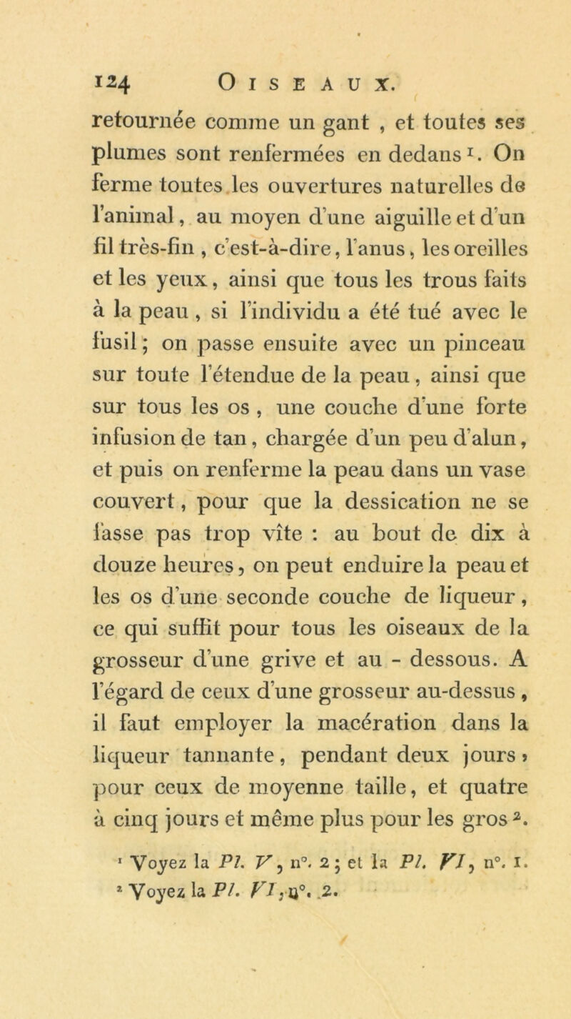 retournée connue un gant , et toutes ses plumes sont renfermées en dedans1. On ferme toutes les ouvertures naturelles de l’animal, au moyen dune aiguille et d un fil très-fin , c’est-à-dire, l anus, les oreilles et les yeux, ainsi que tous les trous faits à la peau , si l’individu a été tué avec le fusil ; on passe ensuite avec un pinceau sur toute l’étendue de la peau, ainsi que sur tous les os , une couche d une forte infusion de tan, chargée d’un peu d’alun, et puis on renferme la peau dans un vase couvert, pour que la dessication ne se fasse pas trop vite : au bout de dix à douze heures, on peut enduire la peau et les os d’une seconde couche de liqueur, ce qui suffit pour tous les oiseaux de la grosseur d’une grive et au - dessous. A l’égard de ceux d’une grosseur au-dessus , il faut employer la macération dans la liqueur tannante, pendant deux jours » pour ceux de moyenne taille, et quatre à cinq jours et même plus pour les gros 2. 1 Voyez la PI. V, n°. 2 ; et la PI. Kl, n°« I. 1 Voyez la PI. Kl\ i}°. .2.