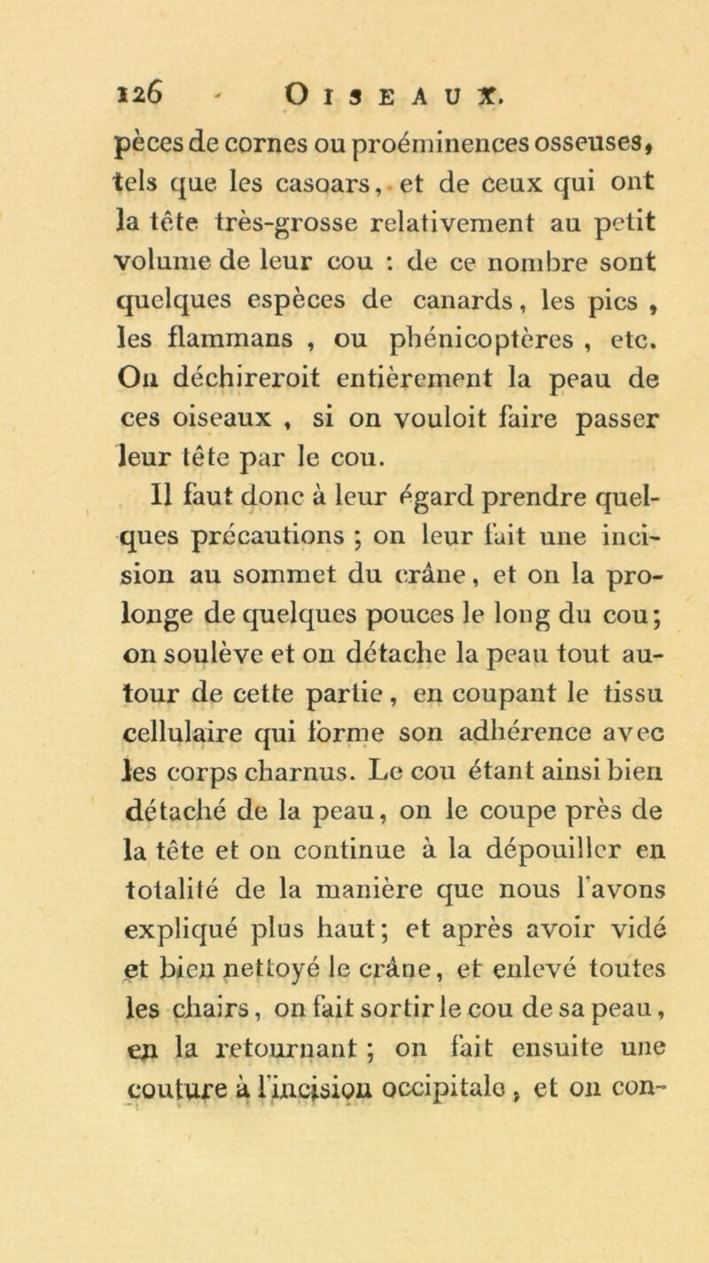 n6 ' Oiseaux. pèces de cornes ou proéminences osseuses, tels que les casoars, et de ceux qui ont la tête très-grosse relativement au petit volume de leur cou : de ce nombre sont quelques espèces de canards, les pics , les flammans , ou phénicoptères , etc. Ou déchireroit entièrement la peau de ces oiseaux , si on vouloit faire passer leur tête par le cou. Il faut donc à leur égard prendre quel- ques précautions ; on leur fait une inci- sion au sommet du crâne, et on la pro- longe de quelques pouces le long du cou; on soulève et on détache la peau tout au- tour de cette partie, en coupant le tissu cellulaire qui forme son adhérence avec les corps charnus. Le cou étant ainsi bien détaché de la peau, on le coupe près de la tête et on continue à la dépouiller en totalité de la manière que nous l avons expliqué plus haut; et après avoir vidé et bien nettoyé le crâne, et enlevé toutes les chairs, on fait sortir le cou de sa peau, en la retournant ; on fait ensuite une couture à l'incision occipitale , et on con-