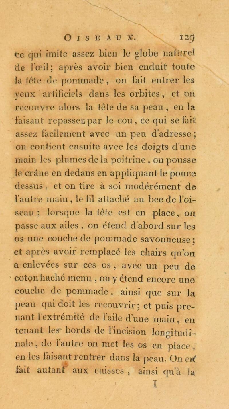 te qui imite assez bien le globe nalttrel de l’œil ; après avoir bien enduit toute la tête de pommade, on fait entrer les yeux artificiels dans les orbites, et on recouvre alors la tête de sa peau , en la faisant repasser par le cou, ce qui se fait assez facilement avec un peu d'adresse ; on contient ensuite avec les doigts dune main les plumes delà poitrine , on pousse le crâne en dedans en appliquant le pouce dessus , et on tire à soi modérément de l’autre main , le fil attaché au bec de foi- seau ; lorsque la tête est en place, on passe aux ailes , on étend d’abord sur les os une couche de pommade savonneuse; et après avoir remplacé les chairs qu’on a enlevées sur ces os , avec un peu de coton haché menu , on y étend encore une couche de pommade, ainsi que sur la peau qui doit les recouvrir; et puis pre- nant l’extrémité de l’aile d’une main, en tenant les bords de l’incision longitudi- nale » de l’autre on met les os en place, en les faisant rentrer dans la peau. On crf fait autant aux cuisses , ainsi qu’à la I