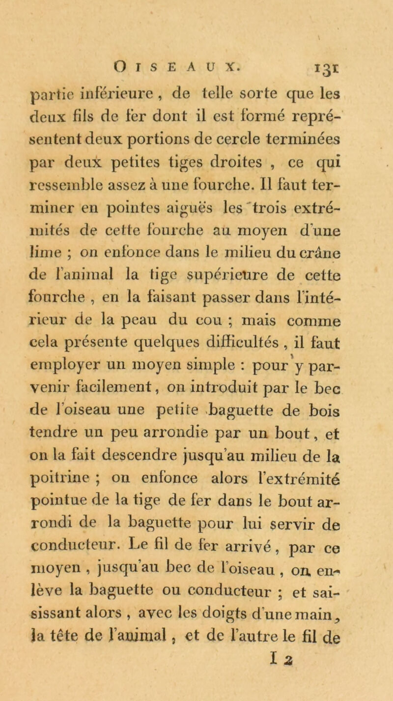 T3* partie inférieure , de telle sorte que les deux fils de fer dont il est formé repré- sentent deux portions de cercle terminées par deux petites tiges droites , ce qui ressemble assez à une fourche. Il faut ter- miner en pointes aiguës les trois extré- mités de cette fourche au moyen d'une lime ; on enfonce dans le milieu du crâne de lanimal la tige supérieure de cette fourche , en la faisant passer dans l’inté- rieur de la peau du cou ; mais comme cela présente quelques difficultés , il faut employer un moyen simple : pour y par- venir facilement, on introduit par le bec / de l’oiseau une petite baguette de bois tendre un peu arrondie par un bout, et on la fait descendre jusqu’au milieu de la poitrine ; on enfonce alors l’extrémité pointue de la tige de fer dans le bout ar- rondi de la baguette pour lui servir de conducteur. Le fil de fer arrivé, par ce moyen , jusqu’au bec de l’oiseau , on en- lève la baguette ou conducteur ; et sai- sissant alors , avec les doigts d’une main ^ la tête de l’animal, et de l’autre le fil de lz