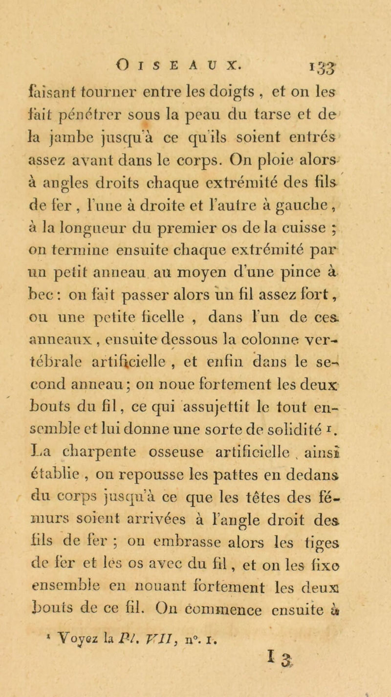 faisant tourner entre les doigts , et on les lait pénétrer sous la peau du tarse et de la jambe jusquà ce quils soient entrés assez avant dans le corps. On ploie alors à angles droits chaque extrémité des fils de fer , l une à droite et l’autre à gauche, à la longueur du premier os de la cuisse ; on termine ensuite chaque extrémité par un petit anneau au moyen d’une pince à bec : on fait passer alors un fil assez fort, ou une petite ficelle , dans l’un de ces. anneaux , ensuite dessous la colonne ver- ✓ tébraîe artificielle , et enfin dans le se-^ cond anneau; on noue fortement les deux bouts du fil, ce qui assujettit le tout en- semble et lui donne une sorte de solidité I. La charpente osseuse artificielle . ainsi établie , on repousse les pattes en dedans du corps jusqu’à ce que les têtes des fé- murs soient arrivées à l’angle droit des fils de fer ; on embrasse alors les tiges de fer et les os avec du fil, et on les fixe ensemble en nouant fortement les deux bouts de ce fil. O11 commence ensuite à * Voyez la PI. VII, n°. 1. 13