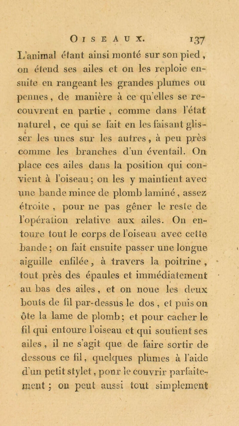 L’animal étant ainsi monté sur son pied, on étend ses ailes et 011 les reploie en- suite en rangeant les grandes plumes ou pennes, de manière à ce quelles se re- couvrent en partie , comme dans l’état naturel, ce qui se fait en les faisant glis- ser les unes sur les autres, à peu p,rès comme les branches d'un éventail. On place ces ailes dans la position qui con- vient à l’oiseau ; on les y maintient avec une bande mince de plomb laminé , assez étroite , pour ne pas gêner le reste de l’opération relative aux ailes. On en- toure tout le corps de l’oiseau avec cette bande ; on fait ensuite passer une longue aiguille enfilée, à travers la poitrine, tout près des épaules et immédiatement ' au bas des ailes , et on noue les deux bouts de fil par-dessus le dos , et puis on ôte la lame de plomb ; et pour cacher le fil qui entoure 1 oiseau et qui soutient ses ailes , il ne s’agit que de faire sortir de dessous ce fil, quelques plumes à l’aide d un petit stylet, pour le couvrir parfaite- ment ; on peut aussi tout simplement