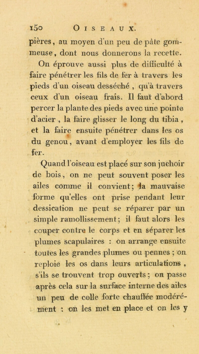 pières, an moyen d’un peu de pâte gom- meuse, dont nous donnerons la recette. On éprouve aussi plus de difficulté à faire pénétrer les fils de fer à travers les pieds d’un oiseau desséché , qu’à travers ceux dun oiseau frais. Il faut d’abord percer la plante des pieds avec une pointe d’acier , la faire glisser le long du tibia , et la faire ensuite pénétrer dans les os du genou, avant d’employer les fils de fer. Quand l’oiseau est placé sur son juchoir de bois, on ne peut souvent poser les ailes comme il convient; la mauvaise forme quelles ont prise pendant leur dessication ne peut se réparer par un simple ramollissement ; il faut alors les couper contre le corps et en séparer les plumes scapulaires : on arrange ensuite toutes les grandes plumes ou pennes ; on reploie les os dans leurs articulations , s’ils se trouvent trop ouverts ; on passe après cela sur la surface interne des ailes un peu de colle forte chauffée modéré- ment : on les met en place et on les y \