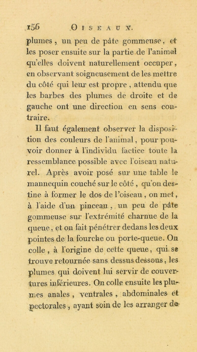 plumes , un peu de pâte gommeuse, et les poser ensuite sur la partie de l’animal quelles doivent naturellement occuper, en observant soigneusement de les mettre du côté qui leur est propre , attendu que les barbes des plumes de droite et de gauche ont une direction en sens con- traire. Il faut également observer la disposi- tion des couleurs de l’animal, pour pou- voir donner à l’individu factice toute la ressemblance possible avec 1 oiseau natu- rel. Après avoir posé sur une table le mannequin couché sur le côté , qu’on des- tine à former le dos de l’oiseau , on met, à 1 aide d’un pinceau , un peu de pâte gommeuse sur l’extrémité charnue de la queue, et on fait pénétrer dedans les deux pointes de la fourche ou porte-queue. On colle , à l’origine de cette queue, qui. se trouve retournée sans dessus dessous, les plumes qui doivent lui servir de couver- tures inférieures. On colle ensuite les plur mes anales , ventrales , abdominales et pectorales , ayant soin de les arranger de