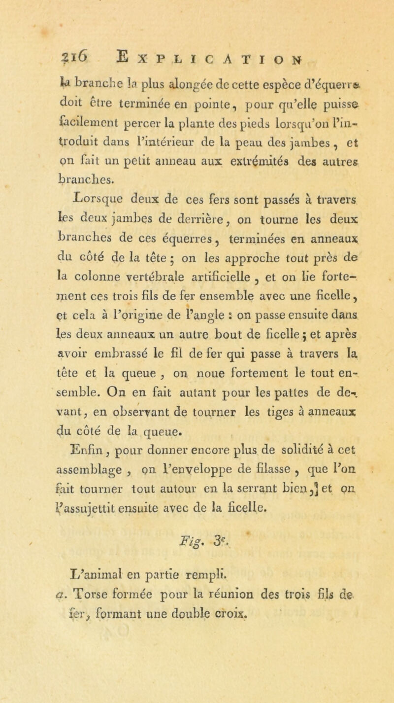 lu branche la plus alongée de cette espèce d’équerre, doit être terminée en pointe, pour qu’elle puisse facilement percer la plante des pieds lorsqu’on l’in- troduit dans l’intérieur de la peau des jambes , et on fait un petit anneau aux extrémités des autres branches. Lorsque deux de ces fers sont passés à travers les deux jambes de derrière, on tourne les deux branches de ces équerres, terminées en anneaux du côté de la tête 5 on les approche tout près de la colonne vertébrale artificielle , et on lie forte- ment ces trois fils de fer ensemble avec une ficelle, et cela à l’origine de l’angle : on passe ensuite dans les deux anneaux un autre bout de ficelle ; et après avoir embrassé le fil de fer qui passe à travers la tête et la queue , on noue fortement le tout en- semble. On en fait autant pour les pattes de de-», vant, en observant de tourner les tiges à anneaux du côté de la queue. Enfin, pour donner encore plus de solidité à cet assemblage , on l’enveloppe de filasse , que l’on fait tourner tout autour en la serrant bien,] et on l’assujettit ensuite avec de la ficelle. Fig. 3e. L’animal en partie rempli. a. Toi’se formée pour la réunion des trois fils de fer, formant une double croix.