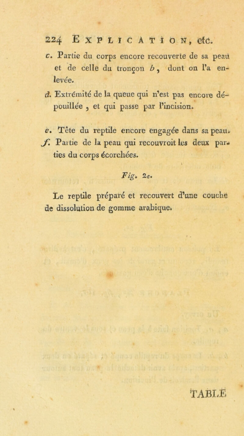 c. Partie du corps encore recouverte de sa peau et de celle du tronçon b, dont on l’a en- A J levée. à. Extrémité de la queue qui n’est pas encore dé- pouillée ? et qui passe par l’incision. e. Tête du reptile encore engagée dans sa peau. jC Partie de la peau qui recouvroit les deux par- ties du corps écorchées. t Fig, 2e. Le reptile préparé et recouvert d’une couche de dissolution de gomme arabique. TABLE