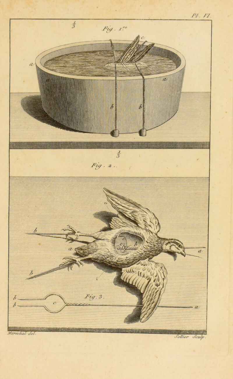 1_ 3 Fÿ. * ue/h-er Jcu/f>.