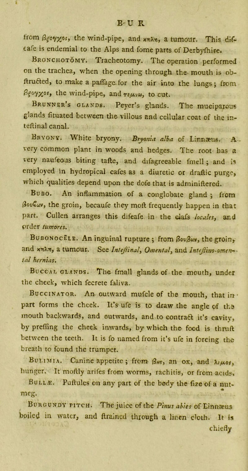 from (3fc</xot, the wind-pipe, and xnXn, a tumour. This dif- tafe is endemial to the Alps and fome parts of Derbyshire. Bronciiotomy. Tracheotomy. The operation performed on the trachea, when the opening through the mouth is ob- Strudled, to make a paffagafor the air into the lungs; from PJt°r/'/.osi ‘he wind-pipe, and ti/avio, to cut. Brunner’s glands. Peyer’s glands. The muciparous glands Situated between the villous and cellular coat of the in- testinal canal. Bryony. White bryony. Bryonia alba of Linnaeus. A - very common plant in woods and hedges. The root has a very naufeous biting tafle, and difagreeable fmell; and is employed in hydropical cafes as a diuretic or draftic purge, which qualities depend upon the dofe that is administered. Bubo. An inflammation of a conglobate gland ; from f3ou£uv, the groin, becaufe they moft frequently happen in that part. Cullen arranges this difeafe in the ciaSs locales, and order tumores. Bubonocele. An inguinal rupture ; from &ov3u>, the groin, and a tumour. See Intejlinal, Omental, and Intejlitso-omen«- tal hernias. Buccal glands. The fmall glands of the mouth, under the cheek, which fecrete faliva. Buccinator. An outward mufcle of the mouth, that in ■ part forms the cheek. It’sufe is to draw the angle of the mouth backwards, and outwards, and to contract it’s cavity, by prefling the cheek inwards, by which the. food is thnift between the teeth. It is fo named from it’s ufe in forcing the breath to found the trumpet. Bulimia. Canine appetite ; from (3«r, an ox, and X/^cor, hunger. It moftly arifes from worms, rachitis, or from acids. Bull®. Puflules on any part of the body the Size of a nut- meg. Burgundy titch. The juice of the Pinus abies of Linnaeus boiled in water, and Strained through a linen cloth. It is chiefly