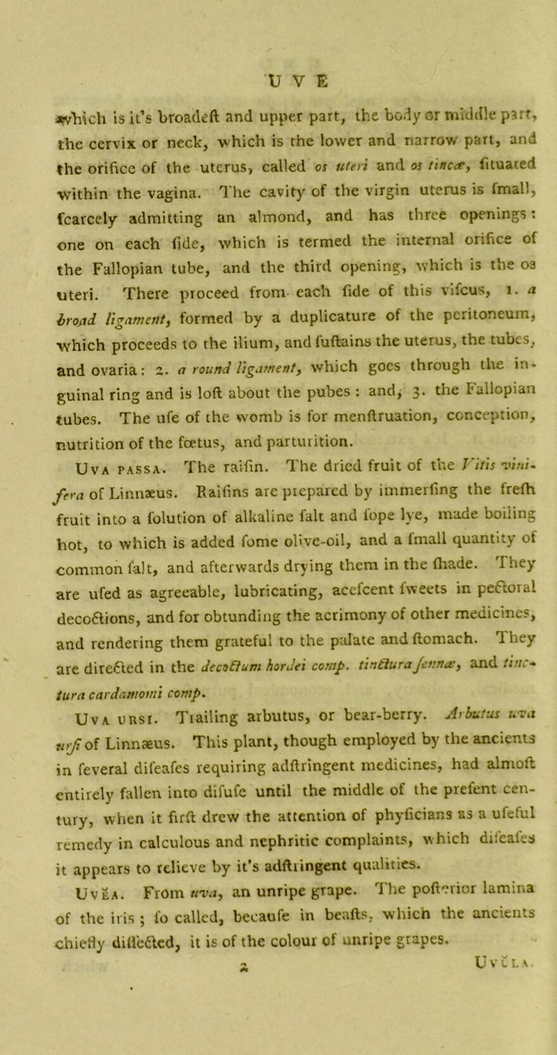 which is it’s broadeft and upper part, the body or middle part, the cervix or neck, which is the lower and narrow part, and the orifice of the uterus, called os uteri and os tmc<r, fituaied within the vagina. The cavity of the virgin uterus is fmall, fcarcely admitting an almond, and has three openings: one on each fide, which is termed the internal orifice of the Fallopian tube, and the third opening, which is the oa uteri. There proceed from each fide of this vifcus, i. a bond ligament, formed by a duplicature of the peritoneum, which proceeds to the ilium, andiuftains the uterus, the tubes, and ovaria: z. a round ligament, which goes through the in- guinal ring and is loft about the pubes : and, 3* the fallopian tubes. The ufe of the womb is for menftruation, conception, nutrition of the foetus, and parturition. Uva passa. The raifin. The dried fruit of the Vitis mini, fera of Linnaeus. Raifins are prepared by immerfing the frefh fruit into a folution of alkaline fait and lope lye, made boiling hot, to which is added fome olive-oil, and a imall quantity of common fait, and afterwards drying them in the (hade. They are ufed as agreeable, lubricating, acefcent fweets in peftoral deco&ions, and for obtunding the acrimony of other medicines, and rendering them grateful to the palate and ftomach. They are direfiicd in the decoflum hordes comp, tintluraJenna:, and tine• turn cardamom's comp. Uva ursi. Tiailing arbutus, or bear-berry. Arbutus uva vrJiof Linnaeus. This plant, though employed by the ancients in feveral difeafes requiring adftringent medicines, had almoft entirely fallen into difufe until the middle of the prefent cen- tury, when it firft drew the attention of phyficians as a ufeful remedy in calculous and nephritic complaints, which dil'eales it appears to relieve by it’s adftiingent qualities. Uvea. From uva, an unripe grape. The pofterior lamina of the iris ; fo called, becaufe in beafts. which the ancients chiefly dilfefiled, it is of the colour of unripe grapes. - U v e l a .