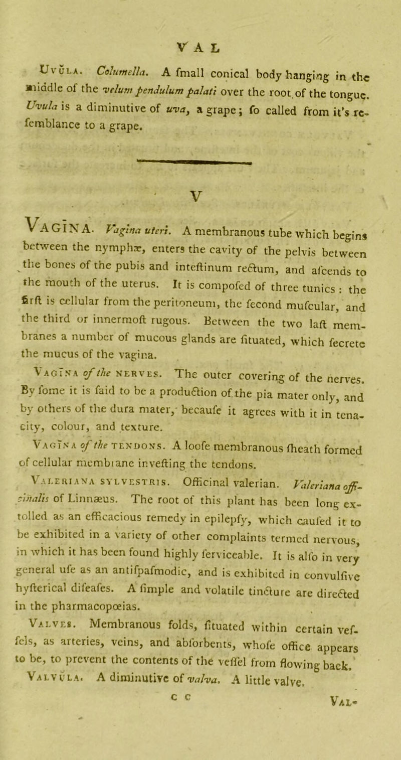 Uvula. Columella. A fmall conical body hanging in the middle of the -velumpendulum palati over the root.of the tongue. Uvula ts a diminutive of uva, a grape; fo called from it’s re- femblance to a grape. V Va GINA. Vagina uteri. A memhranous tube which begins between the nymph*, enters the cavity of the pelvis between the bones of the pubis and inteftinum reftum, and afeends to the mouth of the uterus. It is compofed of three tunics : the firft is cellular from the peritoneum, the fecond mufcular, and the third or innermoft rugous, between the two laft mem- branes a number of mucous glands are fnuated, which fecrete the mucus of the vagina. Vagina of tl,e nerves. The outer covering of the nerves. By tome it is faid to be a produ&ion of the pia mater only, and by others of the dura mater, becaufe it agrees with it in tena- city, colour, and texture. Vagina of the tendons. A loofe membranous {heath formed of cellular membianc invefting the tendons. Valeriana svlvestris. Officinal valerian. Valeriana off- el Halts of Linnaeus. The root of this plant has been long ex- tolled as an efficacious remedy in epilepfy, which caul'ed it to be exhibited in a variety of other complaints termed nervous, in which it has been found highly ferviceable. It is alfo in very general ufe as an antifpafmodic, and is exhibited in convulfive hyfterical difeafes. A Ample and volatile tincture are direfted in the pharmacopoeias. Valve*. Membranous folds, fituated within certain vef- fels, as arteries, veins, and abforbents, whofe office appears to be, to prevent the contents of the veflel from flowing back. Valvvla. A diminutive of vaha, A little valve. c c