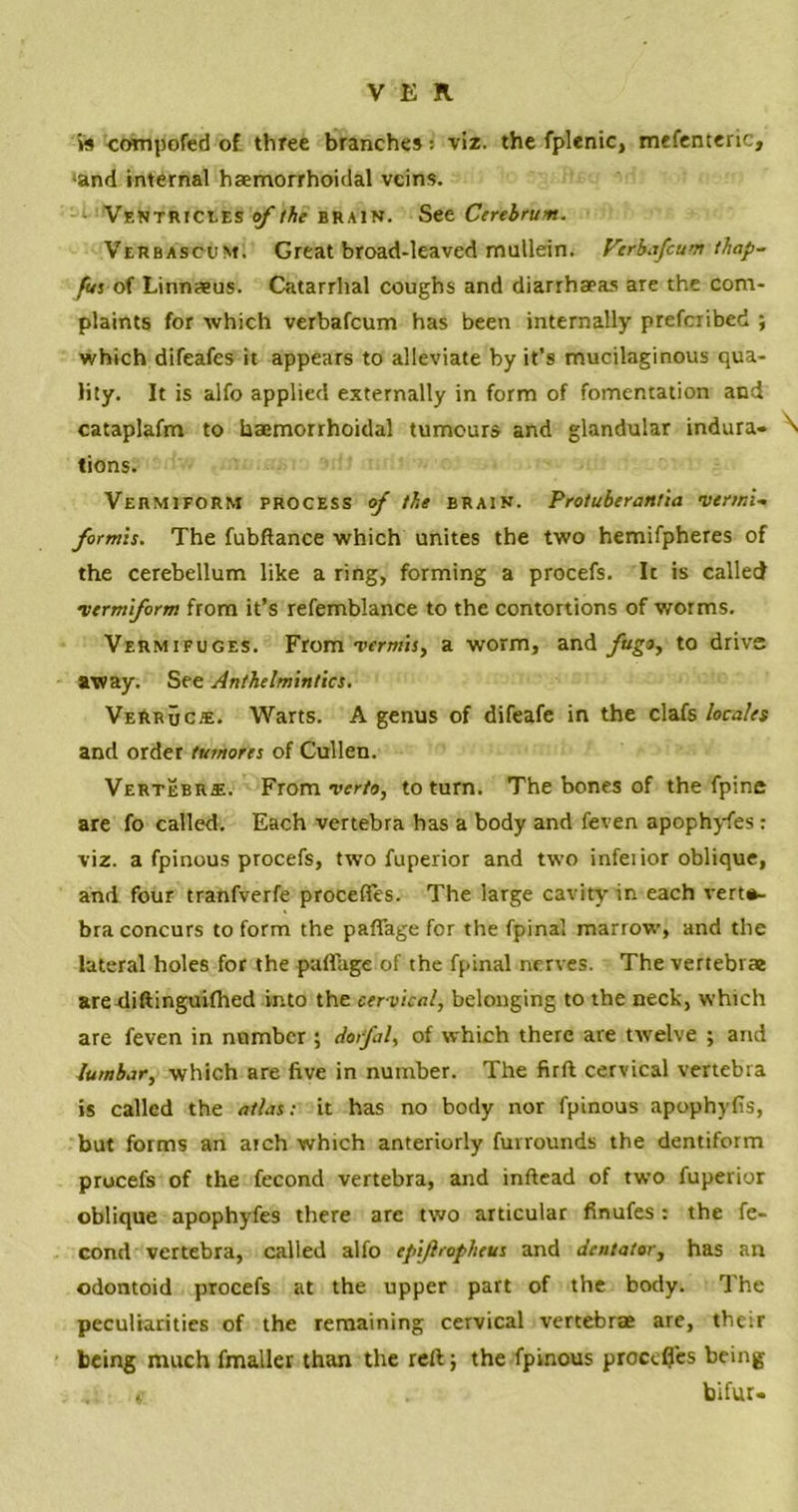 Vs compofed of three branches: viz. the fplenic, mefenteric, •and internal haemorrhoidal veins. Ventricles of the brain. See Cerebrum. Verbascum. Great broad-leaved mullein. Verbafcum thap- fus of Linnaeus. Catarrhal coughs and diarrhaeas are the com- plaints for which verbafcum has been internally prefcribed ; which difeafes it appears to alleviate by it’s mucilaginous qua- lity. It is alfo applied externally in form of fomentation and cataplafm to haemorrhoidal tumours and glandular indura- \ tions. Vermiform process of the brain. Protuberantia vermi. formis. The fubftance which unites the two hemifpheres of the cerebellum like a ring, forming a procefs. It is called •vermiform from it’s refemblance to the contortions of worms. Vermifuges. From vermis, a worm, and fugo, to drive away. See Anthelmintics. VeRruc.e. Warts. A genus of difeafe in the clafs locales and order tumores of Cullen. Vertebra. From verto, to turn. The bones of the fpine are fo called. Each vertebra has a body and feven apophyfes : viz. a fpinous procefs, two fuperior and two infeiior oblique, and four tranfverfe proceffes. The large cavity in each verte- bra concurs to form the paffage for the fpinal marrow, and the lateral holes for the paflage of the fpinal nerves. The vertebrae arediftinguifhed into the cervical, belonging to the neck, which are feven in number ; dorfal, of which there are twelve ; and lumbar, which are five in number. The firft cervical vertebra is called the atlas: it has no body nor fpinous apophyfis, but forms an atch which anteriorly fuvrounds the dentiform procefs of the fecond vertebra, and inftead of two fuperior oblique apophyfes there are two articular finufes: the fe- cond vertebra, called alfo epifiropheus and dcntator, has an odontoid procefs at the upper part of the body. The peculiarities of the remaining cervical vertebrae are, their being much fmaller than the reft; the fpinous procefies being bifur.
