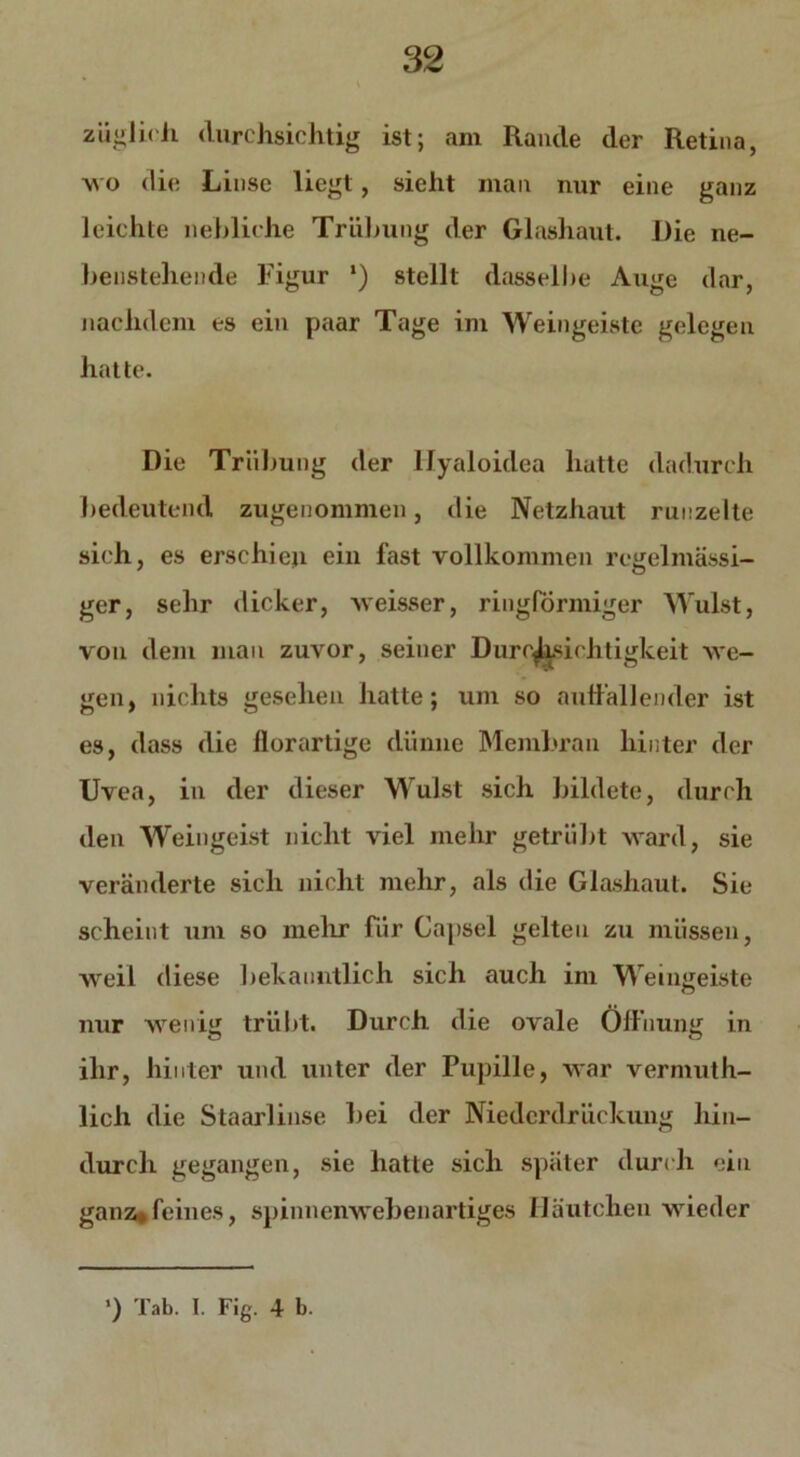 züglich durchsichtig ist; am Rande der Retina, wo <lie Linse liegt, sieht man nur eine ganz leichte liebliche Trübung der Glashaut. Die ne- benstehende Figur *) stellt dasselbe Auge dar, nachdem es ein paar Tage im Weingeiste gelegen hatte. Die Trübung der Hyaloidea hatte dadurch bedeutend zugenommen, die Netzhaut runzelte sich, es erschien ein last vollkommen regelmässi- ger, sehr dicker, weisser, ringförmiger Wulst, von dem man zuvor, seiner Durchsichtigkeit we- gen, nichts gesehen hatte; um so aulfällender ist es, dass die derartige dünne Membran hinter der Uvea, in der dieser Wulst sich bildete, durch den Weingeist nicht viel mehr getrübt ward, sie veränderte sich nicht mehr, als die Glashaut. Sie scheint um so mehr für Capsel gelten zu müssen, weil diese bekanntlich sich auch im Weingeiste nur wenig trübt. Durch die ovale Öffnung in ihr, hinter und unter der Pupille, war vermuth- licli die Staarlinse bei der Niedcrdrückung hin- durch gegangen, sie hatte sich später durch ein ganz*feines, spinnenwehenartiges Häutchen wieder
