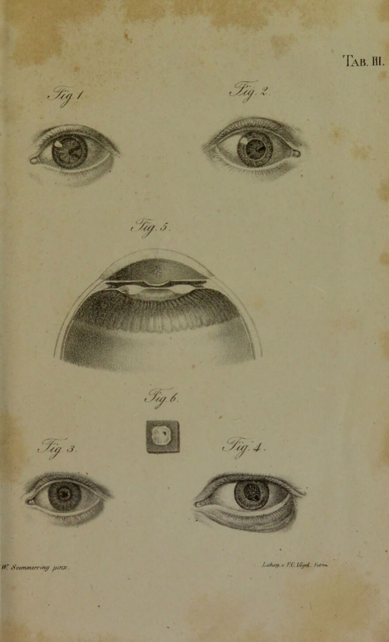 // ' SctmJHfmny pinx /. u/uy. u F.C l'apri