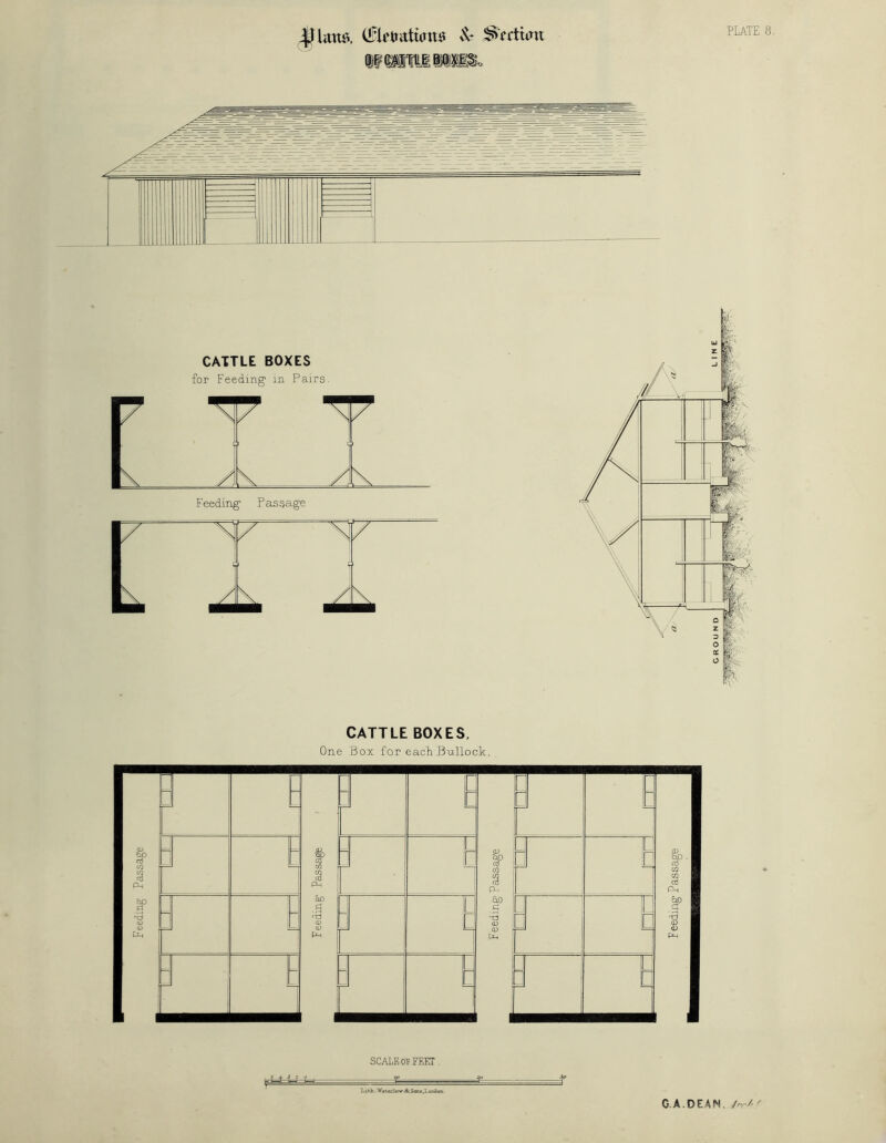 \} lamv (fletrattan# Sc Section ii wmi am. PLATE 8. CATTLE BOXES for Feeding1 in Pairs. CATTLE BOXES, One Box for each Bullock. : - 3 : 1 ILJM — a Ph “ b 1 ho $ a Ph — u r ] i qD Tj CD CD pH 1 j 1 U ao g rr3 CD a) Ph LJ □ r 1 □ ~i - h r : j ] SCALE oi FEET . Lifch. Wat*rloYr Sz Sana.L ondon G.A.DEAN, /'■/•/• F eeding Passage