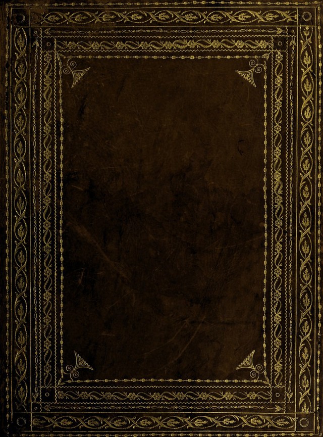 No text description is available for this image