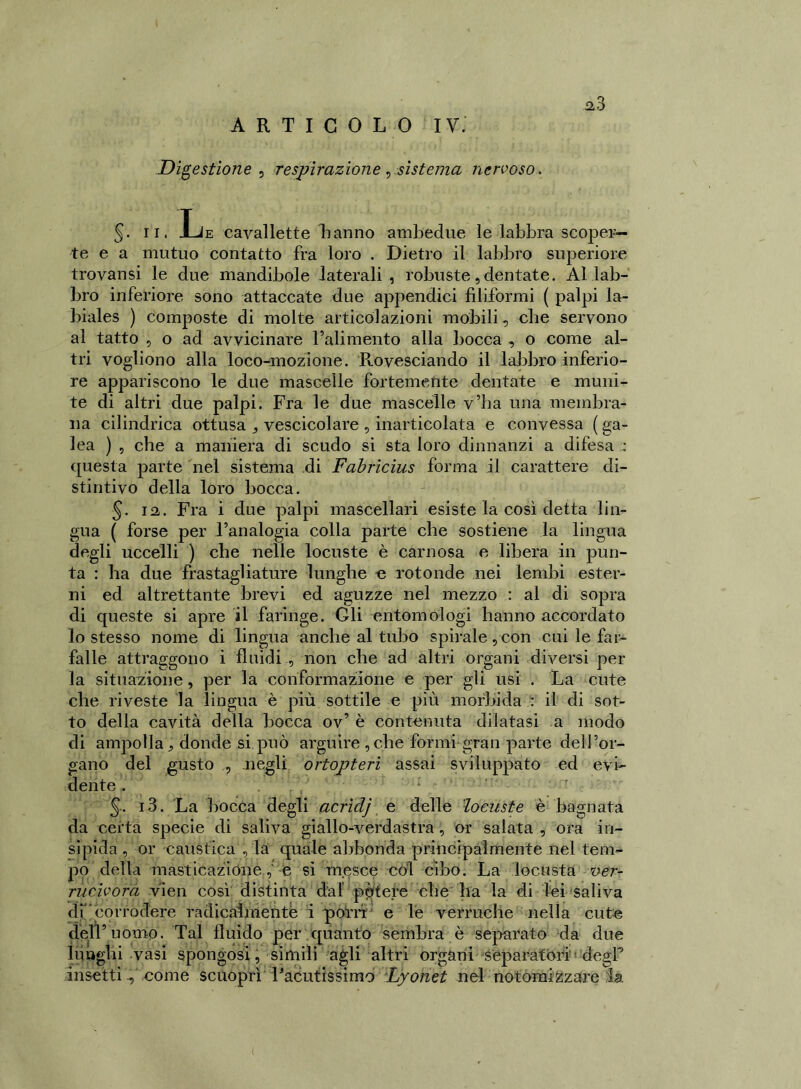 ARTICOLO IV. Digestione , respirazione , sistema nervoso. §. il. Le cavallette hanno ambedue le labbra scoper- te e a mutuo contatto fra loro . Dietro il labbro superiore trovansi le due mandibole laterali, robuste, dentate. Al lab- bro inferiore sono attaccate due appendici filiformi ( palpi la- biales ) composte di molte articolazioni mobili, che servono al tatto , o ad avvicinare l’alimento alla bocca , o come al- tri vogliono alla loco-mozione. Rovesciando il labbro inferio- re appariscono le due mascelle fortemente dentate e muni- te di altri due palpi. Fra le due mascelle v’ha una membra- na cilindrica ottusa } vescicolare , inarticolata e convessa ( ga- lea ) , che a maniera di scudo si sta loro dinnanzi a difesa : questa parte nel sistema di Fabricius forma il carattere di- stintivo della loro bocca. 5- 12. Fra i due palpi mascellari esiste la così detta lin- gua ( forse per l’analogia colla parte che sostiene la lingua degli uccelli ) che nelle locuste è carnosa e libera in pun- ta : ha due frastagliature lunghe e rotonde nei lembi ester- ni ed altrettante brevi ed aguzze nel mezzo : al di sopra di queste si apre il faringe. Gli entomologi hanno accordato lo stesso nome di lingua anche al tubo spirale, con cui le far- falle attraggono i fluidi non che ad altri organi diversi per la situazione, per la conformazione e per gli usi . La cute che riveste la lingua è più sottile e più morbida : il di sot- to della cavità della bocca ov’ è contenuta dilatasi a modo di ampolla,, donde si può arguire ,che formi gran parte dell’or- gano del gusto , negli ortopteri assai sviluppato ed evi- dente. 5- i3. La bocca degli acrìclj e delle locuste è bagnata da certa specie di saliva giallo-verdastra, or salata , ora in- sipida , or caustica , lai quale abbonda principalmente nel tem- po della masticazione, e si mesce col cibo. La locusta ver- rucivora vien così distinta dal patere che ha la di lei saliva dr'corrodere radicalmente i porri e le verruche nella cute dell’uomo. Tal fluido per quanto sembra è separato da due lunghi vasi spongosì, simili agli altri organi separatori degP insetti -, come scuoprì Facutissimo Lyonet nel notomi zzare la