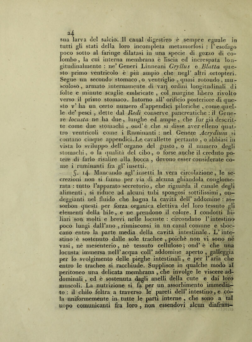 sua larva del salcio. Il canal digestivo è sempre eguale in tutti gli stati della loro incompleta metamorfosi : 1’ esofago poco sotto al faringe dilatasi in una specie di gozzo di co- lombo , la cui interna membrana è liscia ed increspata lon- gitudinalmente : ne’ Generi Linneani Gryllus e Blatta que- sto primo ventricolo è più ampio che negl’ altri ortopteri. Segue un secondo stomacoso ventriglio , quasi rotondo, mu- scoloso, armato internamente di varj ordini longitudinali di folte e minute scaglie embricate , col margine libero rivolto verso il primo stomaco. Intorno all’ orificio posteriore di que- sto v’ ha un certo numero d’appendici piloriche , come quel- le de* pesci , dette dal Ptedi conserve pancreatiche : il Gene- re locusta ne ha due, lunghe ed ampie, che fur già descrit- te come due stomachi , oud’ è che si disse aver elleno quat- tro ventricoli come i Ruminanti : nel Genere Acrydium si contano cinque appendici.Le cavallette pertanto , o abbiasi in vista lo sviluppo dell’organo del gusto, o il numero degli stomachi, o la qualità dei cibo, o forse anche il creduto po- tere di farlo risalire alla bocca , devono esser considerate co- me i ruminanti fra gl’ insetti. 5- 14. Mancando agl’insetti la vera circolazione, le se- crezioni non si fanno per via di alcuna ghiandola conglome- rata : tutto l’apparato secretorio, che riguarda il canale degli alimenti , si riduce ad alcuni tubi spongosi sottilissimi, on- deggianti nel fluido che bagna la cavità dell’ addomine : as- sorbon questi per forza organica elettiva del loro tessuto gli elementi della bile, e ne prendono il colore. I condotti bi- liari son molti e brevi nelle locuste : circondano l’intestino poco lungi dall’ano , riunisconsi in un canal comune e sboc- cano entro la parte media della cavità intestinale . L’inte- stino è sostenuto dalle sole trachee , poiché non vi sono né vasi, nè mesenterio , nè tessuto celluloso ; ond’ è che una locusta immersa nell’acqua coll’ addomine aperto , galleggia per lo svolgimento delle pieghe intestinali, e per F aria che entro le trachee si racchiude. Supplisce in qualche modo al peritoneo una delicata membrana , che involge le viscere ad- dominali , ed è sostenuta dagli anelli della cute e dai loro muscoli. La nutrizione si fa per un assorbimento immedia- to : il chilo feltra a traverso le pareti dell’ intestino, e có- la uniformemente in tutte le parti interne , che sono a tal uopo comunicanti fra loro , non essendovi alcun diafram—