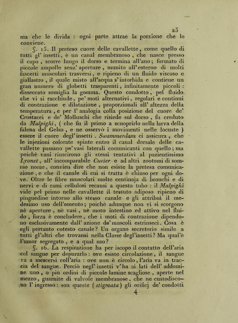 a5 ma che le divida : ogni parte attrae la porzione che le conviene. §. i5. Il preteso cuore delle cavallette, come quello di tutti gl’ insetti, è un canal membranoso , che nasce presso il capo , scorre lungo il dorso e termina all’ano ; formato di piccole ampolle senz’aperture, munito all'esterno di molti fascetti muscolari trasversi, e ripieno di un fluido viscoso e giallastro , il quale misto all’acqua s’intorbida e contiene un gran numero di globetti trasparenti, infinitamente piccoli : disseccato somiglia la gomma. Questo condotto , pel fluido che vi si racchiude, pe’ moti alternativi, regolari e continui di contrazione e dilatazione , proporzionali all’ altezza della temperatura , e per 1’ analogia colla posizione del cuore de’ Crostacei e de’ Molluschi che risiede sul dorso , fu creduto da Malpighi, ( che fu il primo a scuoprirlo nella larva della falena del Gelso , e ne osservò i movimenti nelle locuste ) essere il cuore degl’insetti . Swcimmerdam ci assicura , che le injezioni colorate spinte entro il canal dorsale delle ca- vallette passano pe’vasi laterali comunicanti con quello ; ma poiché vani riuscirono gli stessi tentativi al pazientissimo Lyonet, all* incomparabile Cuvier e ad altri zootomi di som- mo nome, convien dire che non esiste la pretesa comunica- zione , e che il canale di cui si tratta è chiuso per ogni do- ve. Oltre le fibre muscolari molte centinaja di bronchi e di nervi e di rami cellulosi recansi a questo tubo r il Malpighì vide pel primo nelle cavallette il tessuto adiposo ripieno di pinguedine intorno allo stesso canale e gli attribuì, il me- desimo uso dell’omento ; poiché adunque non vi si scorgono nè aperture , nè vasi , nè moto intestino ed attivo nel flui- do , forza è concludere, che i moti di contrazione dipendo- no esclusivamente dall’azione de’muscoli estrinseci.. Cosa è egli pertanto cotesto canale ? Un organo secretorio simile a tutti gl’altri che trovansi nella Glasse degl’insetti ? Ma qual’è l’umor segregato , e a qual uso? §. 16. La respirazione ha per iscopo il contatto dell’aria col sangue per depurarlo : ove esiste circolazione, il sangue va a mescersi coll’aria : ove non è circolo, l’aria va in trac- cia del sangue. Perciò negl’insetti v’ha ai lati dell’addomi- ne uno , o più ordini di piccole lamine scagliose , aperte nel mezzo ^ guarnite di valvole membranose, che ne custodisco— ;no l’ingresso: son queste (stigmata) gli orificj de’condotti