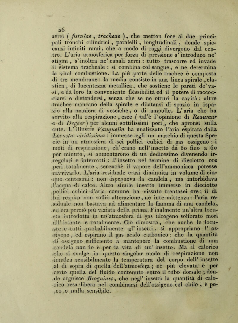 aerei ( fistulcie , tracheae ), che metton foce ài due princi- pali tronchi cilindrici , paralelli , longitudinali , donde spic- caci infiniti rami, che a modo di raggi divergono dal cen- tro. L’aria atmosferica per forza di pressione s’introduce ne’ stigmi, s’inoltra ne’canali aerei : tutto trascorre ed invade il sistema tracheale : si combina col sangue, e ne determina la vital combustione. La più parte delle trachee è composta di tre membrane: la media consiste in una linea spirale , ela- stica , di lucentezza metallica, che sostiene le pareti de’ va- si , e dà loro la conveniente flessibilità ed il potere di raccoc- ciarsi e distendersi, senza che se ne otturi la cavità : altre trachee mancano della spirale e dilataci di spazio in ispa- zio alla maniera di vesciche, o di ampolle. L’aria che ha servito alla respirazione , esce ( tal’è l’opinione di Reaumur e di Degeer ) per alcuni sottilissimi pori , che apronsi sulla cute. L’illustre Vauquelin ha analizzato l’aria espirata dalla Locusta lindissima : immerse egli un maschio di questa Spe- cie in un atmosfera di sei pollici cubici di gas ossigeno : i moti di respirazione, eh’erano nell’insetto da 5o fino a 60 per minuto, si aumentarono di un dodicesimo divenendo ir- regolari e interrotti : l’insetto nel termine di dieciotto ore peli totalmente , senzachè il vapore dell’ammoniaca potesse ravvivarlo. L’aria residuale erasi diminuita in volume di cin- que centesimi : non ispegneva la candela, ma intorbidava .d’acqua di calce. Altro simile insetto immerso in dieciotto pollici cubici d’aria comune ha vissuto trentasei ore : il di lui respiro non soffrì alterazione, nè intermittenza: l’aria re- sidualo non bastava ad alimentare la fiamma di una candela, ed era perciò più viziata della prima. Finalmente un’altra locu- sta introdotta in un’atmosfera di gas idrogeno solforato morì .all’istante e totalmente. Ciò dimostra, che anche le locu- ste e tutti >probabilmente gl’ insetti , si appropriano 1’ os- •sigeno , ed espirano il gas acido carbonico: che da quantità di ossigeno sufficiente a mantenere la combustione di una candela non lo è per la vita di un’ insetto . Ma il calorico .che si svolge in questo singoiar modo di respirazione non -innalza sensibilmente la temperatura del corpo dell’insetto al di sopra di quella dell’atmosfera j nè più elevata è per .certo quella del fluido contenuto entro il tubo dorsale ; don- de arguisce Brogniart, che negl’ insetti la quantità di calo- rico resa libera nel combinarci dell’ossigeno col chilo , è po- *couo nulla sensibile.