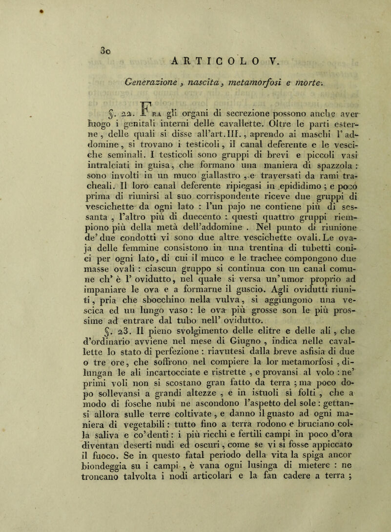 ARTICOLO V. Generazione 3 nascita 3 metamorfosi e morte'. §. 22,. I- ra gli organi di secrezione possono anche aver luogo i genitali interni delle cavallette. Oltre le parti ester- ne , delle c[uali si disse alPart.III., aprendo ai maschi Pad- domine , si trovano i testicoli, il canal deferente e le vesci- che seminali. I testicoli sono grappi di brevi e piccoli vasi intralciati in guisa, che formano una maniera di spazzola : sono involti in un muco giallastro ,.e traversati da rami tra- cheali. Il loro canal deferente ripiegasi in .epididimo ; e poco prima di riunirsi al suo corrispondente riceve due gruppi di vescichette da ogni lato : l’un pajo ne contiene più di ses- santa , l’altro più di duecento l questi quattro gruppi riem- piono più della metà delPaddomine . Nel punto di riunione de’due condotti vi sono due altre vescichette ovali. Le ova- ja delle femmine consistono in una trentina di tubetti coni- ci per ogni lato^ di cui il muco e le trachee compongono due masse ovali : ciascun gruppo si continua con un canal comu- ne eli’ è F ovidutto, nel quale si versa un’ umor proprio ad impaniare le ova e a formarne il guscio. Agli ovidutti riuni- ti , pria che sbocchino nella vulva, si aggiungono una ve- scica ed un lungo vaso : le ova- più grosse son le più pros- sime ad entrare dal tubo nell’ ovidutto. 5* a3. Il pieno svolgimento delle elitre e delle ali , che d’ordinario avviene nel mese di Giugno , ìndica nelle caval- lette lo stato di perfezione : riavutesi dalla breve asfisia di due o tre ore, che soffrono nel compiere la lor metamorfosi 5 di- lungali le ali incartocciate e ristrette , e provatisi al volo : ne’ primi voli non si scostano gran fatto da terra ; ma poco do- po sollevansi a grandi altezze , e ili istuoli sì folti 9 che a modo di fosche nubi ne ascondono l’aspetto del sole : gettan- si allora sulle terre coltivate , e danno il guasto ad ogni ma- niera di vegetabili : tutto fino a terra rodono e bruciano col- la saliva e co’ denti : i più ricchi e fertili campi in poco d’ora diventali deserti nudi ed oscuri, come se vi si fosse appiccato il fuoco. Se in questo fatai periodo della vita la spiga ancor biondeggia su i campi , è vana ogni lusinga di mietere : ne troncano talvolta i nodi articolari e la fan cadere a terra ;