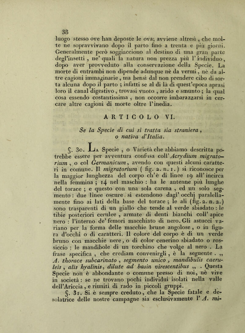 luogo stesso ove han deposte le ova; avviene altresì , che mol- te ne sopravvivano dopo il parto fino a trenta e più giorni. Generalmente però soggiacciono al destino di una gran parte degl’insetti , ne’quali la natura non prezza più l’individuo, dopo aver provveduto alla conservazione delia Specie. La morte di entrambi non dipende adunque nè da vermi, nè da al- tre cagioni immaginarie , ma bensì dal non prendere cibo di sor- ta alcuna dopo il parto ; infatti se al di là di quest’epoca aprasi loro il canal digestivo , trovasi vuoto , arido e smunto ; la qual cosa essendo costantissima , non occorre imbarazzarsi in cer- care altre cagioni di morte oltre l’inedia. ARTICOLO VI. Se la Specie di cui si tratta sia straniera , o nativa d’Italia. §. 3o. La Specie , o Varietà che abbiamo descritta po- trebbe essere per avventura confusa coll’Acrydium migrato- rium , o col Germanicum, avendo con questi alcuni caratte- ri in comune. Il migratorium ( fig. a. n. i.) si riconosce per la maggior lunghezza del corpo eh’è di linee ig all’incirca nella femmina ; 14 nel maschio : ha le antenne più lunghe del torace ; e questo con una sola carena , ed un solo seg- mento : due linee oscure si estendono dagl’ occhj paralella- mente fino ai lati della base del torace; le ali (fig.a.n.a.) sono trasparenti di un giallo che tende al verde sbiadato : le tibie posteriori cerulee , armate di denti bianchi coll’ apice nero : l’interno de’femori macchiato di nero. Gli astucci va- riano per la forma delle macchie brune angolose , o in figu- ra d’occhi o di caratteri. Il colore del corpo è di un verde bruno con macchie nere, o di color cenerino sbiadato o ros- siccio : le mandibole di un torchino che volge al nero . La frase specifica , che crediam convenirgli , è la seguente . „ A. thorace subcarinato , segmento unico , mandibulis caeru- leis , alis hyalinis, dilute ad basin virescentibus ,, . Questa Specie non è abbondante o comune presso di noi, nè vive in società : se ne trovano pochi individui isolati nella valle dell’Ariccia, e riuniti di rado in piccoli gruppi. 5- 3i. Si è sempre creduto, che la Specie fatale e de- solatrice delle nostre campagne sia esclusivamente VA. mi-
