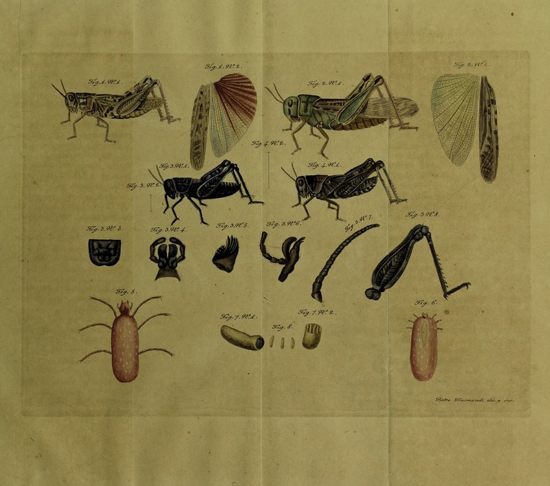 <9 - L'V- .5^. 2, '/^ ‘l . 3. 5fy.JL.9V! 2. 55^. 5cj?- 3.3. 5fy. 3.9V 5fy.3.9V.5. 5fy-7.?Z?^ ■ 5fy. 3.9V&. r