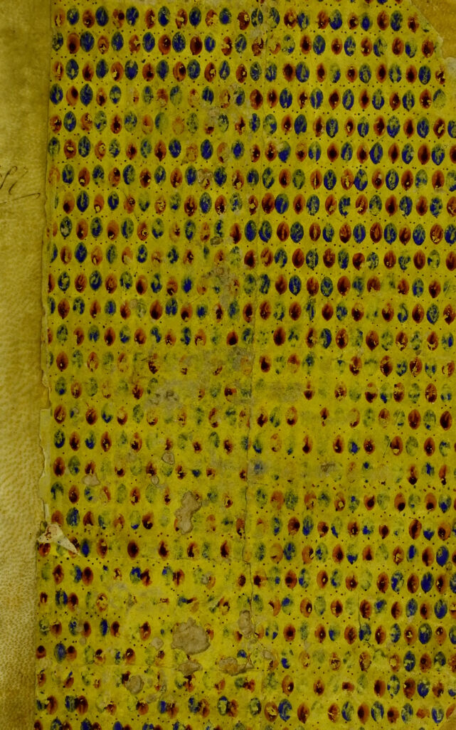 No text description is available for this image