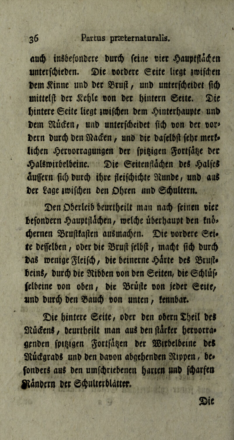 in8befüni)ere but^ feine tiet ^nuptfllactett jinterfcbteben. ®ie »orbere 0eiie liegt jatf^en Dem Äinne unb bec ®tu(i / unb unterftbeibet fitb mitteljl bet jfeble »on bet bintern ©eite. S)tc bintete ©eite liegt mifeben bem ^intetbaupte unb bein SJludenf unb untetfAcibet jicb t>on bet Pot» betn but$ ben SItnefen, unb bie bafelbll febt metf* lieben ^etoortagungen bet fpibigen ^ottfäbe bec J^aUmirbelbeine. Sie ©eitenfläcben bes ^alfeJ äuflern ftebbur^ ibte jleifd)i^tt 9i«nbe/ unb an? bet Sage ttpif^en ben Obten unb ©^ultetn. Sen Oberleib beuttbeilt man naeb feinen »iec befonbern-^aupttldeben/ mel^e ubeebaupt ben fno» 4)etnen SBcu|]fa|len auSmaeben. Sie »orbere ©ei» te bejfelben, ober bie 93tu(t felbfl / mnebt bureb ba? »enigegleifeb/ bie beinerne ^drte be? 95rutl* bein?/^ buteb bie Siibben pon ben ©eitern bie ©eblüf» felbeine pon oben/ bie ^rüjle Pon jebet ©eite/ ]inb burtb ben ^aueb Pon unten / fennbac. Sie hintere ©eite; ober ben obern £beil be? Städen?, beurtbeilt man au? ben jlarter betporra* senben fpibigen Sottf^en bet tJßitbelbctne be? Dlüdgtab? unb ben bapon abgebenben ültppen / be» fonber? aus ben umf4)r(ebenen barten unb ftbarfeo Kanbetn bec ©^iiUerblätter.
