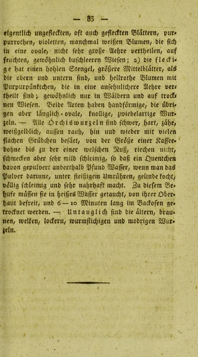 eigentlich mtgcfletffett, oft auch gefTetffen flattern, pur« purrothen, pioletfen, manchmal weißen Blumen, bie ftch in eine orale, nidjt lehr große Sleljre rertheilen, auf feudjten, gewöhnlich bufchleeren ©iefen; 2) bte fle tfi* ge hat einen hohlen ©tengel, größere ©ittelblatter, altf bie obern unb untern ftnb, unb hrllrothe Blumen mit iPurpurpunftchen, bie in eine anfehnlidjere Sichre Per« thetlt ftnb v gewöhnlich nur in ©albern unb auf trotf* nen ©iefen. Q3eibe Qlrfetv haben hanbförmige, bie ubri» gen aber länglich * orale, fttollige, jwiebelarttge ©ur» jeln. — Sille X5)rd)iöwurjeln ftnb fchwer, hart, sähe, weißgelblid), nuffen rauh, hin unb wieber mit Pielen flachen ©rubchett befäet, rott bei* ©röße einer Kaffee* bohne bis $u ber einer welfchen 3?uß, riedjen nicht, fchmecfett aber fehr miib fchlcimig, fo baß ein =Quent<hett baron gepulrert anberthalb $funb ©affer, wenn man baö Sßulrer bartttne, unter fleißigem limrühren, gelinbe fod)t, pöüig fchlcimig unb fehr nahrhaft macht. 3u biefem 23e* hufe muffen fte in heißeö©hffer getaucht, Pon ihrer Ober» haut befreit, unb 6 — 10 ©inuten lang im 23atfofen ge* trotfnet werben. — Untauglid) ftnb bie altern, brau» nen, weifen, lotfern, wurmjM;tgen unb raobrtgen ©ur* teilt.