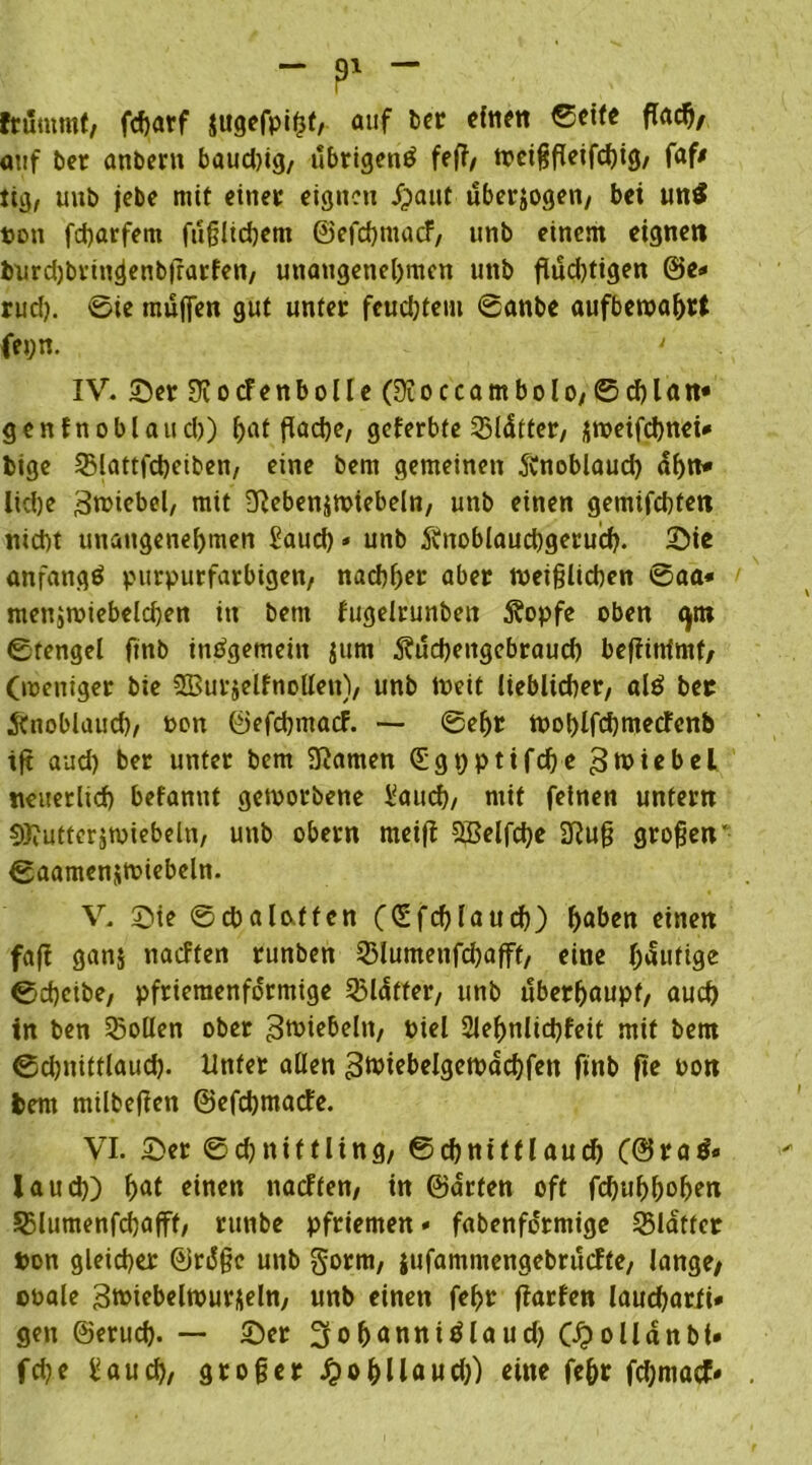 fruutmt, fcharf $ugefpi($t, auf bet cftiftt <Seife ßadj, auf ber anbent baud)ig, ubrigenä feß, weißßeifdßg, faf* tig, uitb jebe mit einet eignen £>aut überzogen, bei un$ ton feßarfem faßlichem ©efehmaef, unb einem eignen burdjbrincfenbßatfen, unangenehmen unb ßud)tigen ©e* rud). 0ie muffen gut unter feuchtem 0anbe aufbewahrt fepn. ' IV. Ser 9?ocfenbolle(0ioccambolo, ©chlan« gen fnobl auch) hat flache/ geferbte SBIdfter, jjweifchnei* bige S5lattfd)etbcn/ eine bent gemeinen 5vnoblaud) ahn* liehe Zwiebel, mit 3Iebenjmiebe(n, unb einen gemifchten nicht unangenehmen Saud)» unb Änoblaucbgerucf). Sie anfangö purpurfarbigen, nad)her aber weißlichen 0aa* menjwiebelchen in betn fugelrunben 5?opfe oben <jm ©tengel ftnb insgemein jum Äücheitgebrauch beßittimf, (weniger bie SBurjelfnoßen), unb Weit lieblicher, al£ bet Ätnoblauch, ton ©efd)macf. — 0ehr Wol)lfd)mecfenb iß aud) ber unter bem tarnen (£gt)ptifd)e Zwiebel neuerlich befanut geworbene Saud), mit feinen unfern Butterjwiebeln, unb obern meiß 2&elfd)e 2ßuß großen” ©aamenswiebeln. V. Sie 0d)alcktfen ((Sfchlauch) haben einen faß ganj naeften runben Slumenfdjafff, eine häufige ©cheibe, pfriemenformige glatter, unb überhaupt, auch in ben Sollen ober ^wiebeln, tiel 2lehnlid)feit mit bem ©djnitflaud). Unter allen g^ifhelgewdchfen ftnb fte ton hem milbeßen ©efeßmaefe. VI. Ser 0d)ttittling, Schnittlauch (@ra& laud)) hat einen naeften, in ©arten oft fcßuhhohen Slumenfcbafff, runbe Pfriemen« fabenformige Slatter ton gleicher ©rdße unb gorm, jufammengebruefte, lange/ otale 3wiebelwurjieln, unb einen fehr ßarfen laudjarti* gen ©erud). — Ser 3iohanniölaud) C£olldnbt» fd)e Sauch, großer £ohllaud)) eine fehr fdjmatf*