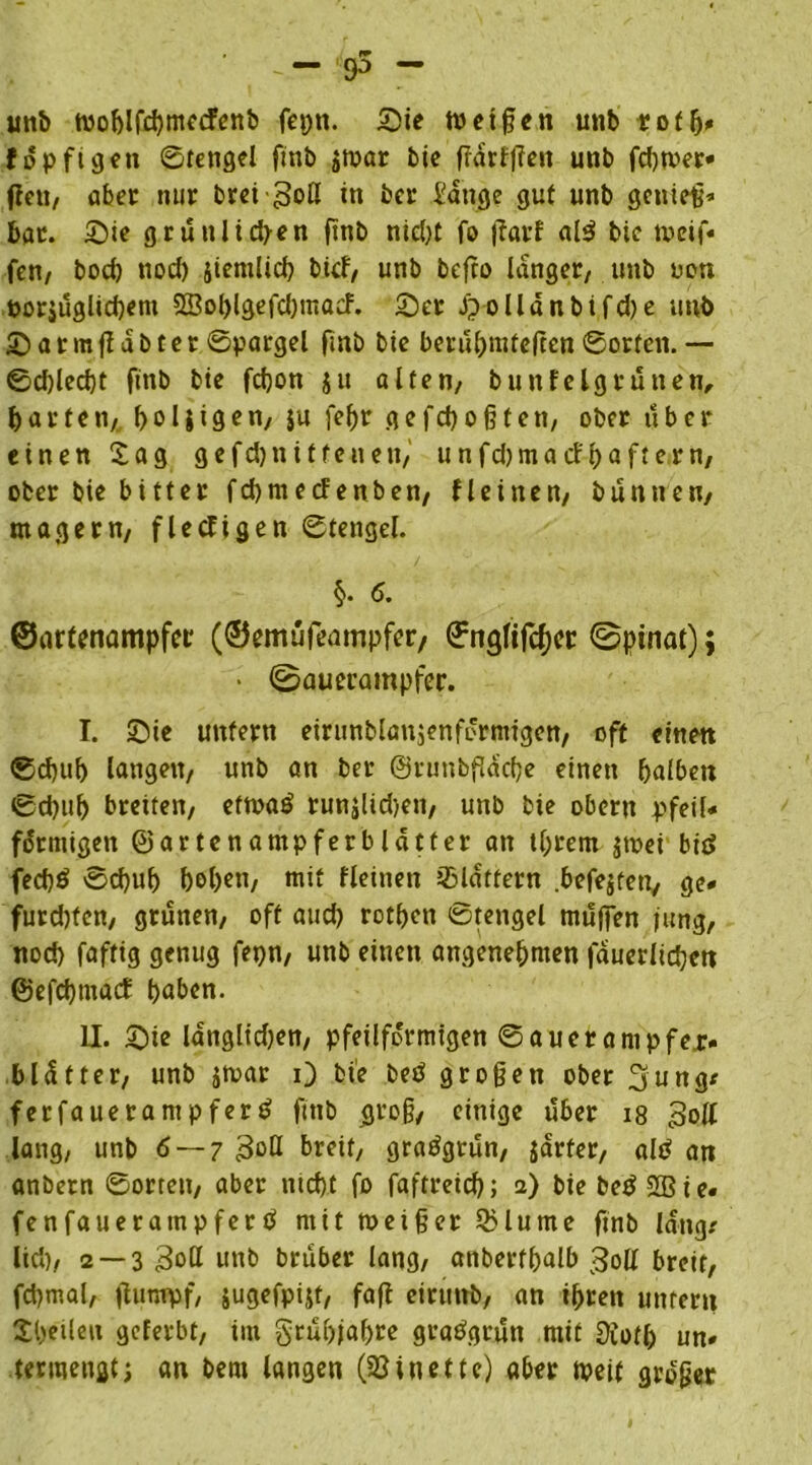 unb woblfcbmecfenb fepn. Sie toeißen unb rofb» fopfigen ©tengel ftnb jmar bie ffdrfflen unb fd)tver* fteti/ aber nur brei Soß in ber Tätige gut unb genieß* bar. Sie grünlichen ftnb nicht fo ftarf al$ bie weif« fen, boeb nod) iiemücb bief, unb befto langer, unb oon öor$üglid)em SSoblgefdjmacf. Ser olldnbtfd)e unb S a r ra fl ab t e r ©pargel finb bic berubmteften ©orten. — ©d)led)t ftnb btc fchon ju alten, bunfelgrunen, barten, boljigen, su febe gefdjoßten, ober über einen Sag gefebnif fenen,' unfd)macfbafte.rn, ober bie bitter fcbmecFenben, fleinen, bunuen, magern, flecfigen ©tengel. §. 6. ©artenampfer (©emüfeampfer, ©ngfifeber ©pinat); • ©auerampfer. I. Sie unfern eirunblanjenfi'rmigen, oft einen ©d)ub langen, unb an ber ©rutibfldcbe einen halben ©d)iib breiten, eftoaö runjlid)en, unb bie obern pfeil» fdrmigen ©artenampferbldtfer an tl;rem $wei bid feebö ©ebub bob«n, mit deinen flattern .befejten, ge» furd)tcn, grünen, oft aud) rotben ©tengel muffen jung, nod) faftig genug fepn, unb einen angenehmen fducrlidjcn ©efebtnaef haben. II. Sie langlidjen, pfeilformtgen ©aucrampfej> bldtfer, unb $tvar O bie betf großen ober (jung* ferfauerantpferd ftnb groß, einige über 18 Soll lang, unb 6 — 7 Soß breit, grasgrün, jarfer, altf an anbern ©orten, aber nicht fo faftreid); 2) bie be£2ßie. fenfauerampferö mit roeißer 5>lume finb lang/ lid), 2 — 3 3oß unb bruber lang, anberfbalb Soll breit, fd)mal, flumpf, jugefpijt, faft eirunb, an ihren untern Sbetleu geferbt, im grubjabte graögrutt mit 9iofb un» termengt; an bem langen (33inette) aber tpeit großer