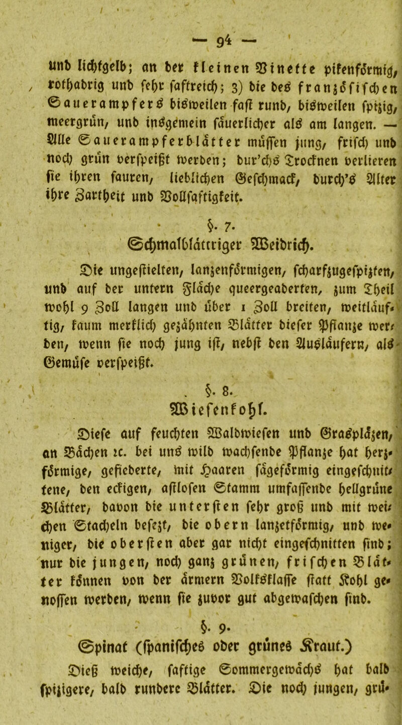 / *“ 9^ ~ unt lid)fgelbj an bet fl einen Minette ptfenfdrmfg, / trof^abrig unb fe&r faftreid); 3) bie beö fr an jüfifcben ©auerampfer ö biStoeilen faff runb, biStoeilen fptjig, meergrün/ unb insgemein fauerliefycr alö am langen. — Sille ©auerampferblatfer muffen jung/ frifd) unb noclj grün perfpeifjt Werben; bur’d)S Srocfnen oerlieren fte ifjren faurcn, lieblichen @efd)macf, burd)’$ SJlter \t)xe Baratt unb 2Soüfqftigfeit. 7* ©djmatblatmger SCßeibrtcf). ©ie ungeflielten, lanzettförmigen, fd)arfzugefptzfen, unb auf ber untern §lad)e queergeaberten, jum 2f)eil wofjl 9 Bott langen unb über 1 Bott breiten, weitlauf* V tig, faum mcrflid) gejabnten 53latfer biefer fpftanje mett beu, wenn fie nod) jung iff, nebf? ben Sluslaufern, al$' ©emüfe perfpeißt. / . §• 8. 2Biefenfof)f. ©iefe auf feuchten SBalbmiefen unb ©ratfplajen, an 55ad)en ic. bei unö rnilb wad)fenbe «Pflanze f>at fjerz» fÜrmige, gefieberte, mit paaren fagefermig eingefd)ttit< tene, ben eefigen, afllofen ©famrn umfaffenbe hellgrüne SBlütfer, baoon bie unter fte n febr groß unb mit wei* djen ©tadeln befejt, bie obern lanjetformig, unb we* niger, bie ober fl en aber gar nicht eingefchnitten ftnbi nur bie jungen, nod) ganj grünen, frtfcfyen 55Idf* tet fünnen non ber armem 23olf$flajfe fratt 5vof>l ge* noffen werben, wenn fte juoor gut abgewafdjen ftnb. §• 9- ©pinat (fpanifcfjes ober grünes Ärauf.) ©ie§ meiere, faftige ©ommergemad)S f>at balb fpiiigere, balb runbere Blatter, ©ic nod) jungen, grü»