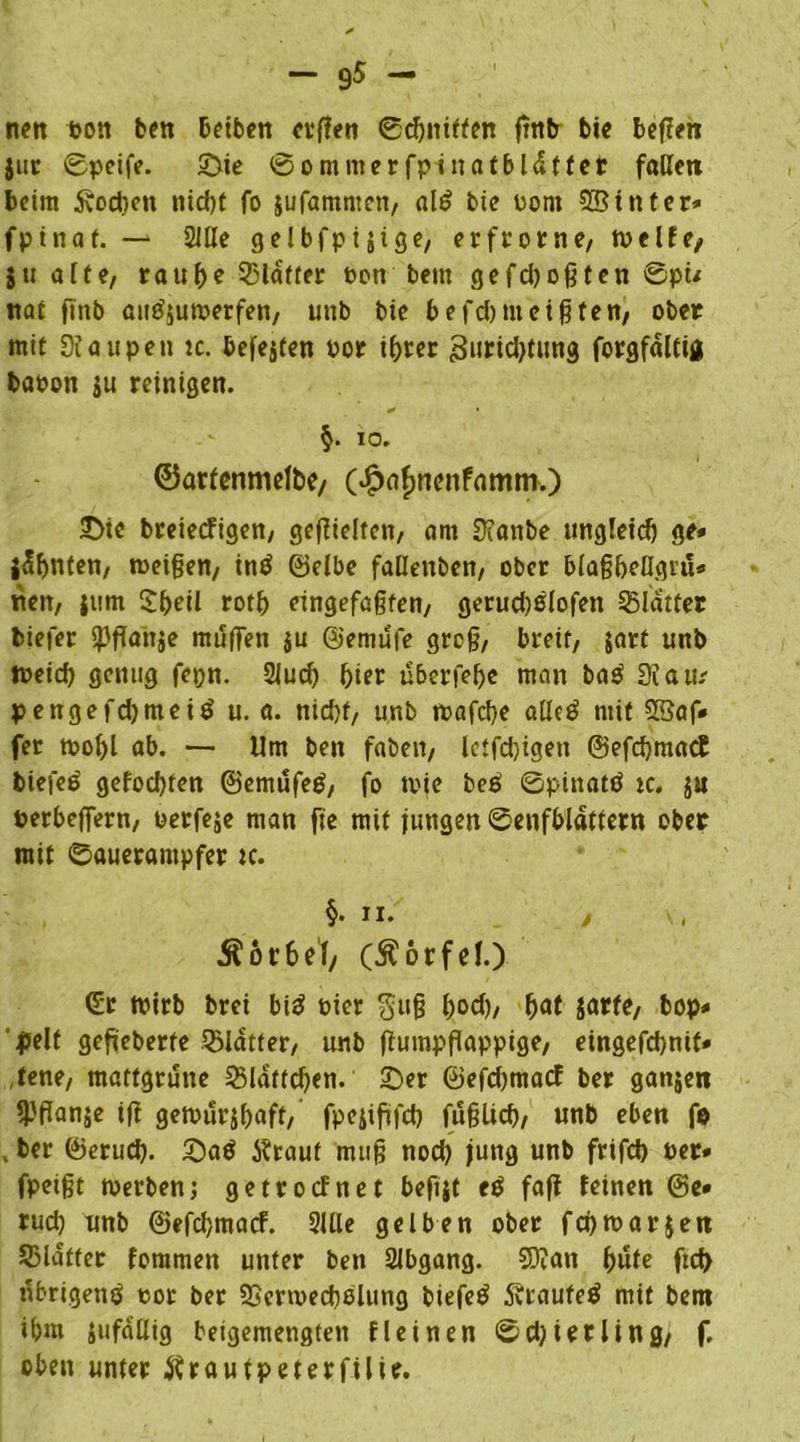 nett bon beit beiben evffen ©chnitten ftttb bie befien jur ©peife. ©ie ©ontnterfpinatbldtfer faßen beim Soeben ntdjt fo jufantnten, al£ bie Pont ©inter* fptnaf. —* 2lße gelbfpijige, erfrorne, weife, ju alte, raub? Blatter bon beut gefd)oßten ©pü not ftttb aito'juwerfen, uttb bte befd)tneigfen, ober mit 9iaupett tc. befejten bor ihrer Zurichtung forgfdltig babon ju reinigen. §. IO. ©arfenmelbc/ (dpafmenfamm.) ©te bteieefigen, gezielten, am Staube ungleich ge* Junten, weifjen, intf (Selbe faüettben, ober blagheflgru* tten, jttm Shell roth eingefaßten, gerud)ölofett Blatter biefer ^fiattje muffen $u ©emufe groß, breit, jart unb tt>eid) genug fepn. 2Jud) hier überfehe man ba£ Stau. pengefd)ntei£ u. a. nicht, unb wafebe aßc£ mit ©af* fer wohl ab. — Um bett faben, lctfd)igett ©efdjmacE biefeö gefochten ©emufetf, fo wie beö ©pinatö tc. ju berbeffern, berfeje man fie mit iungen ©enfhldttern ober ratt ©aueratttpfer tc. §• n. J v, Ä6r6et; (Ä&tfel.) (Er wirb brei bid hier gu§ hoef)/ h<*t jatte, bop* pelt gefieberte Blatter, unb ftumpflappige, eingefchnif* ,tene, matfgrutte Blättchen, ©er @efd)tttacf ber ganjen fpflanje ifi gewurjhaft, fpejiftfd) füglich, unb eben fo , ber ©erud). ©a$ tfraut muß nod) jung unb frifcb ber* fpeifjt werben; getroefnet beftjt e$ faff feinen ©e* rud) unb ©efehmaef. 2lUe gelben ober fei) war Jen SMdtter fommett unter bett Slbgang. ©an hüte ftd> itbrigenö bor ber SSermecholung biefcö Äraufeö mit bent ihm Jttfdßig beigemengten fleinen ©djierling, f. oben unter ftrautpeterfilie.