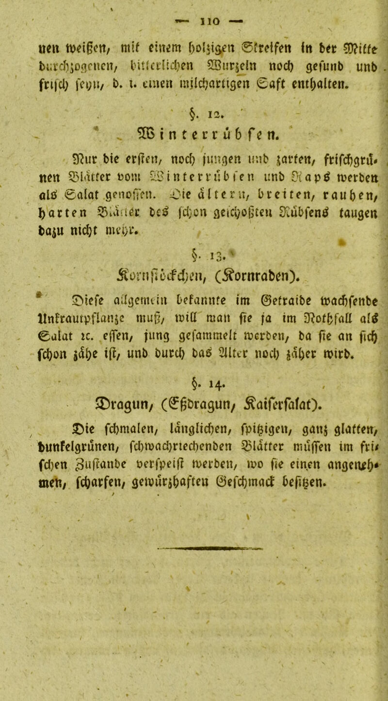 nett tveifjen, ntif einem boljigett Streifen in ber €0?tffe burdjsogcncn, bittcrlidjen SBurjein nod) gefunb unb fri|d; fcyu, b. u tmen mild;arttgen Saft enthalten. §. 12. 3BtntecEÜ'6ftn. 9?ur bie crffen, nod; jungen unb jarfett, frifcbgrt!« iten SDlatter t>om -Sinterrubfen unb Stapg toerben alö Salat .genoffen. Oie alter n, breiten, rauben, barten 35Uutör bc£ füjon gefcbojjten Siubfenö taugen baj« nicht me.b'r* §• i3.' $orn }1 otfdjon, (5?ornraben). 3>iefe allgemein befannte im ©efraibe tpadjfenbe Mnfrautpflanje mu§, miß man fie ja im üiofbfall a!$ Salat ic. effen, jung gefammelt merbeu, ba fte an ficb febon jdbe ifi, unb burd) bas Siltcr nod; ial;er tptrb. §• H* < ®t*agun, (©fjöragun/ Äatferfafot)« 3)ie fcbntalen, länglichen, fpifsigen, gan$ glatten, bunfelgrunen, fdnvadjrtecbenben 35ldtfer muffen im frw fd;en ^ujtanbe oerfpeifi werben, wo fie einen angeneb* men, febewfen, gewuribaficu ©efebmatf bejtgen.