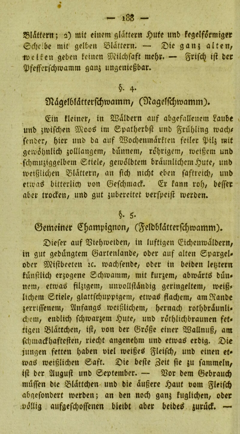 - i38 - 55I^tf<?irtt; a) mit einem glattem Jjufe unb fegeiförmiger 0d)cibc mit gelben flattern. — Sie ganj alten/ toelfen geben feinen SDfilc&faft mehr. — grifd) i|t bet Q3fcffci:rcf;ivamm ganj ungenießbar. §. 4. Sidgelhfdtterfcfjtpamm, (9iageffd;n>amm). Sin fleiner, in SBalbern auf abgefallenem £aube unb 5tv>ifd)en SOiooS im Spatherbff unb grufjling tvad)/ fenber7 f>ier unb ba auf 9Sod)enmarften feiler $ils mit gewöhnlich solllangem, bunnem, rotzigem, weißem unb fchmujiggelbem Stiele/ gewölbtem bräunlichem Jfpufe, unb Weißlichen Q5ldftetn, an ftch ntd)t eben faftreief?, unb etwaö bitterlich oon ©efd)niacf. Sr fann roh, beffet aber troefen, unb gut jubercitet Perfpeift werben. §• 5* 0emdnet ©fmmpignon/ ($dbMatterfcf)wamm). Siefer auf 2>iebweiben, in luftigen Sicbenwalbern, in gut gebungtem ©artenlanbe, ober auf alten Spargel* ober SOiiftbeeten tc. wachfenbe, ober in beiben letjtertt funftlid) erjogene Sdjwamm, mit furjem, abwärts bun- nem, etwatf ftljtgent, unpollßdnbig geringeltem, weiß* Itcßem Stiele, glattfchupptgent, etwaei fiadjem, am9ianbe jeiTtffenem, 2lnfangd wcißlidjem, hernach rofhbraunli* ehern, enblid) fdjwarjem £ute, unb röfl)lid)braunen fet* figen Ojldttcßen, ift, oon ber ©röße einer 2ßallnuß, atn fegmaefbafteften, riecht angenehm unb etwatf erbig. Sie jungen fetten höben oiel weißeef gleifch, unb einen et* watf weißlid)en Saft. Sie beße geit fie ju gammeln, iß ber 2luguß unb September. — 2}or bem ©ebrau# mögen bic QMattcpen unb bie äußere £aut Pom gleiß# abgefonbert werben; an ben noch ganj fuglichen, ober pollig aufgefchoßenen bleibt aber beibetf juruef. —