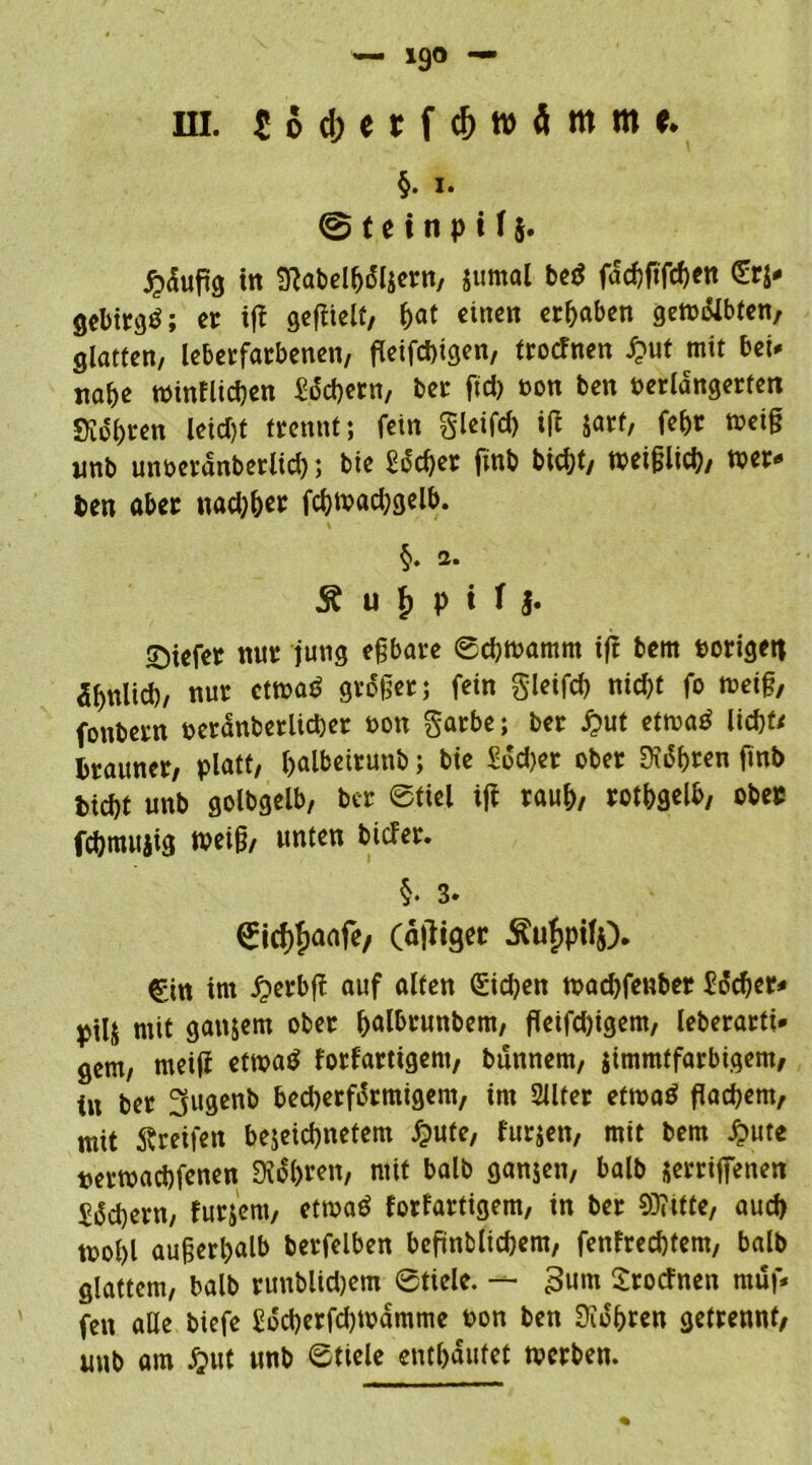 — 19° — hi. tocbetfcfjwämme. §. i. @ t e i n p i f 5. jjdufig in Melbdljern, jurnal bei? fa'cbftfcben €rj* gebirgö; er ift gezielt, bat einen ergaben getvolbten, glatten, lebetfarbenen, fleifcbigen, troefnen £ut mit bei* nabe tvinflicben Wern, ber ftd) von ben verlängerten Siebten leidjt trennt; fein gleifd) iß jarf, febr tveiß unb unverdnberlid); bie Soccer finb biebt/ weißlich, wer* ben aber nad;&« fcbwadjgelb. §. a. £ u $ p i T f. SMefer nur jung eßbare ©cbwamrn iff bem vorigeit ähnlich, nur etwaö großer; fein gleifcb nicht fo weiß, fonbern verdnberlicber von garbe; ber £ut etwaö liebt* brauner, platt, balbeirunb; bie Wer ober Sehren finb biebt unb golbgelb, ber ©tiel iß raub, rotbgelb, obeu fcbmitjig weiß, unten biefer. §. 3. 0cb?jaafe/ (äßiger ÄuJpUj). C:in im £erbß auf alten (£id)en tvaebfenber Wer* ptlj mit ganzem ober balbrunbem, ßeifdßgem, leberarfi* gern, meiß etwatf forfartigem, bunnern, jimmtfarbigem, in ber 3ugenb bedjerfdrmigem, im Sllter ettvaö ßacbem, mit greifen bejeiebnetem #ute, furjen, mit bem £ute vertvaebfenen Siobren, mit balb ganjen, balb serriffenen Sdcbern, fur&em, etwaö forfartigem, in ber 93?tfte, aueb tvobl außerhalb berfelben befinbltcbem, fenfreebtem, balb glattem, balb runblidjem ©tiele. — 3um Srocfnett rauf* fett alle biefe £dd)erfd)tvamme von ben Sidbren getrennt, unb am £ut unb ©tiele enthäutet tverben. %