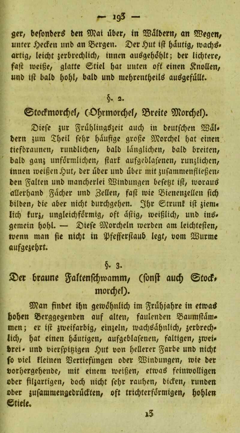 ger, befonber$ ben 9D?ai über, tn SBälbent, an Siegen, unter Werfen unb an bergen. Ser J?ut iß häutig, roadj^* artig, teidjt jerbredßicb, innen autfgeböblt; ber lichtere, faft weiße, glatte 0tiel bat unten oft einen Änollen, unb iß balb balb unb mebrentbeiltf auägefüllf. §. 2. ©totfmorebef, GÖJrmorchef, greife Lorchel). Siefe $ur grüblingöjcit aud) in beutfeben SBäl« bern jum $beil febr ^auftge große 9J?orcbel bat einen tiefbraunen, runblicben, balb länglichen, balb breiten, balb ganj unförmigen, ßarf aufgeblafenen, rundlichen, innen weißen J?ut, ber über unb über mit jufammenßießen* ben galten unb mandjerlei SBinbungen befegt iß, worauf? allerbanb gächer unb geßen, faß wie Q3ienen$ellen ficb bilben, bie aber nid)t burebgeben. 3bt Strunf iß dient« lieb fur$, ungleichförmig, oft aßig, weißltd), unb intf* gemein bohl* — Siefe 3)?ord)eln werben am leiebfeßen, wenn man fte nicht in ^Pfefferßaub legt, oom SBurrne oufgejehrt. §• 3. braune $aftcnfcf)wamm/ (fonff auef) @tocf> morcheO. SD?an ßnbet ihn gewöbnlid) im grübiabre in etwaö hoben 93erggegenben auf alten, faulenben 35aumßdm# men; er iß jweifarbig, einjeln, wacb$ä&nlicb, jerbrecb« lid), bat einen häutigen, aufgeblafenen, faltigen, jwei* irei» unb t>ierfpt£igen J*>tit non bellen garbe unb nicht fo tnel fleinen SScrtiefüngen ober SEBinbungen, wie bet Dorbergebenbe, mit einem weißen, etwa£ feinwolligen ober ftl|artigen, boeb nicht febt rauben, bieten, runben ober jufararaengebrütften, oft trichterförmigen, f>of>len Stiele. »5