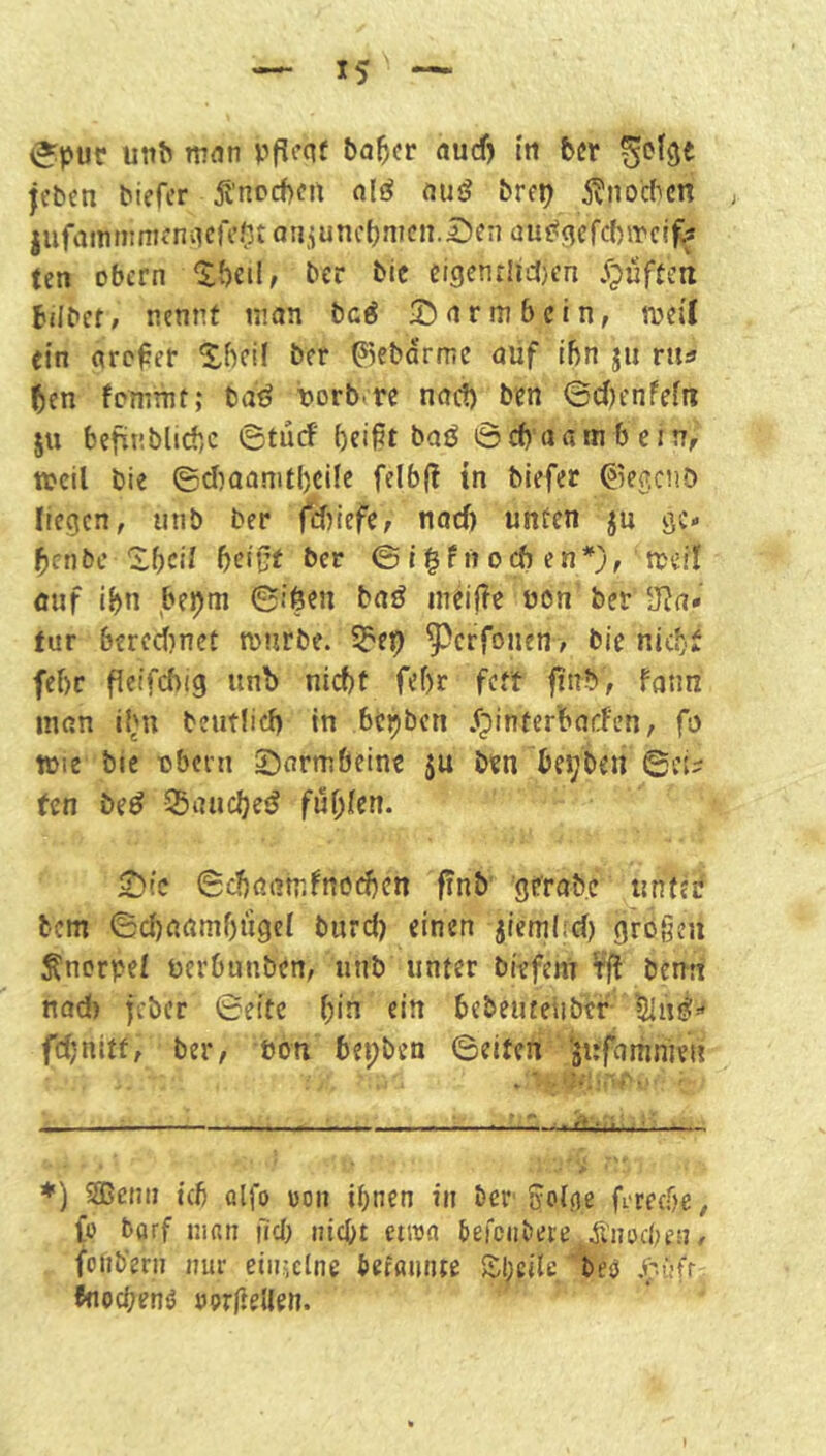 i2:puc unb mnn nudj in btx ^otge |ebcn biefer ^'nccbfit nlö rtu<? brep 5?noc(icn j lufammmfniiefi’ßt atiiunctjmcn.lJen au^^efcbirclff ten Obern ‘Sbeil; ber bic eigentlicl)en .<pufteti tilbcr, nennt man bcö ^öarmbein, mei'I ein arc^er Xbcü ber ^5ebarme auf ihn jii rus ^en femmt; bai? porbere nad) ben ©d)enfefn 511 beftnblicbc ©turf bei^t baö ©cb’aatn b ein, »eil bie ©d)aanit()cile felbf? tn biefer ©egenb liegen, inib ber febiefe, nad) unten ju ge- ben be Xf)cil beißt ber © i | f n 0 eft en*}, »ert auf ibn bepiu ©i6cn baö ineifTe uon ber ü^a» für berecfinct »urbe. 5?e9 ^erfonen, bie nicht febr fleifcbig unb nicht febr fett finb, fann man i^n beutlid) in bepben .Cpinterbacfen, fo »le bic •Obern ©armbeinc ju ben be^beii ©ei^ ten be^ ^aiicbe^ ful;jfcn. ^'c ©cböamfnocben finb grrabe unfcif bem ©d)aamf)ügcl burd) einen jiemlid) großen Knorpel üerbunben, unb unter biefeni benn nad) jeber ©eite [)in ein bebeutetiber fdjnitt, ber, eon bepben ©eiten 'äufamnien *) SSßeiiii icb ölfö üoii ihnen in ber ^ofjie firecbe, fü barf man fid) iiicbt etrea befciibere ^'noeben, fonb'ern nur einzelne befaiinte Ähcite oeci .f-.üfr ftiocbenö vQTfiellen.