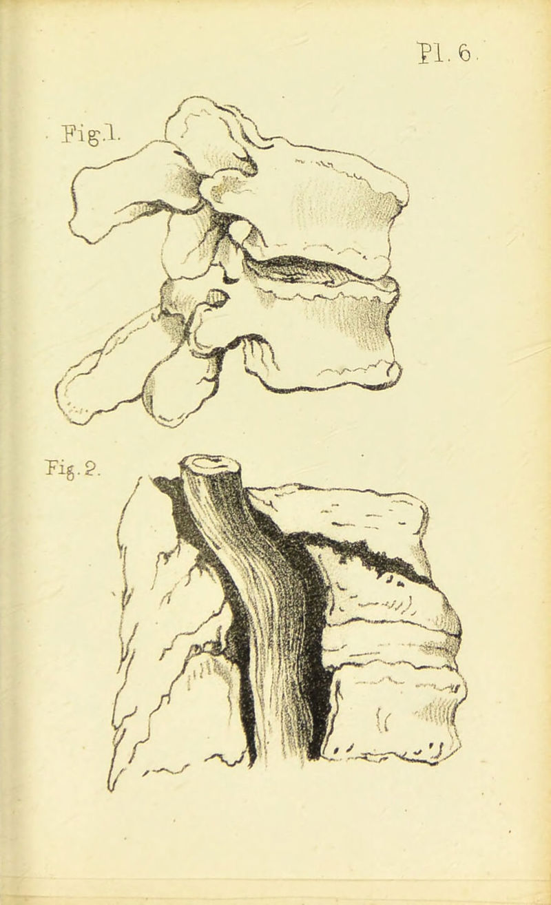 r I . \ i !| f I ' A ' % ♦ I ■ [f • i ✓ : k r k ?