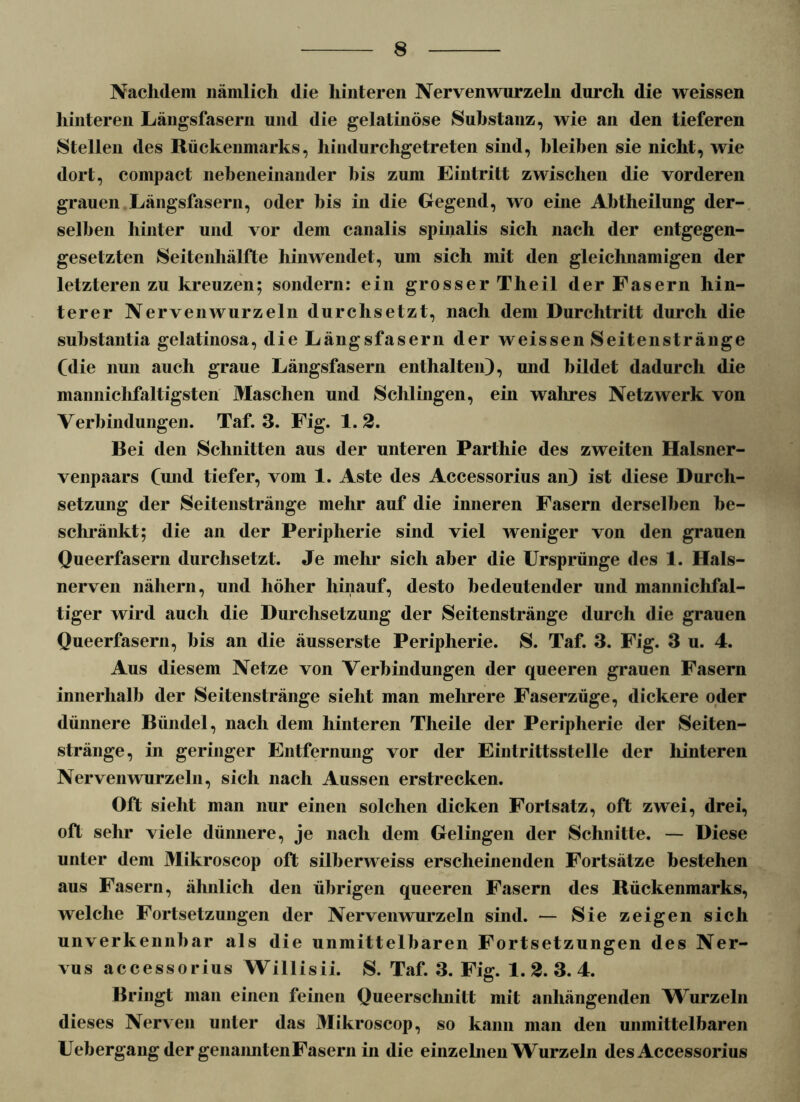 Nachdem nämlich die hinteren Nervenwurzeln durch die weissen hinteren Längsfasern und die gelatinöse Substanz, wie an den tieferen Stellen des Rückenmarks, hindurchgetreten sind, bleiben sie nicht, wie dort, compact nebeneinander bis zum Eintritt zwischen die vorderen grauen Längsfasern, oder bis in die Gegend, wo eine Abtheilung der- selben hinter und vor dem canalis spinalis sich nach der entgegen- gesetzten Seitenhälfte hinwendet, um sich mit den gleichnamigen der letzteren zu kreuzen; sondern: ein grosser Theil der Fasern hin- terer Nervenwurzeln durchsetzt, nach dem Durchtritt durch die suhstantia gelatinosa, die Längsfasern der weissen Seitenstränge (die nun auch graue Längsfasern enthalten), und bildet dadurch die mannichfaltigsten Maschen und Schlingen, ein wahres Netzwerk von Verbindungen. Taf. 3. Fig. 1. 2. Bei den Schnitten aus der unteren Parthie des zweiten Halsner- venpaars (und tiefer, vom 1. Aste des Accessorius an) ist diese Durch- setzung der Seitenstränge mehr auf die inneren Fasern derselben be- schränkt; die an der Peripherie sind viel weniger von den grauen Queerfasern durchsetzt. Je mehr sich aber die Ursprünge des 1. Hals- nerven nähern, und höher hinauf, desto bedeutender und mannichfal- tiger wird auch die Durchsetzung der Seitenstränge durch die grauen Queerfasern, bis an die äusserste Peripherie. S. Taf. 3. Fig. 3 u. 4. Aus diesem Netze von Verbindungen der queeren grauen Fasern innerhalb der Seitenstränge sieht man mehrere Faserzüge, dickere oder dünnere Bündel, nach dem hinteren Theile der Peripherie der Seiten- stränge, in geringer Entfernung vor der Eintrittsstelle der hinteren Nerveirwurzeln, sich nach Aussen erstrecken. Oft sieht man nur einen solchen dicken Fortsatz, oft zwei, drei, oft sehr viele dünnere, je nach dem Gelingen der Schnitte. — Diese unter dem Mikroscop oft silberweiss erscheinenden Fortsätze bestehen aus Fasern, ähnlich den übrigen queeren Fasern des Rückenmarks, welche Fortsetzungen der Nerven wurzeln sind. — Sie zeigen sich unverkennbar als die unmittelbaren Fortsetzungen des Ner- vus accessorius Willisii. S. Taf. 3. Fig. 1. 2. 3. 4. Bringt man einen feinen Queersclmitt mit anhängenden Wurzeln dieses Nerven unter das Mikroscop, so kann man den unmittelbaren UehergangdergenaimtenFasern in die einzelnen Wurzeln des Accessorius