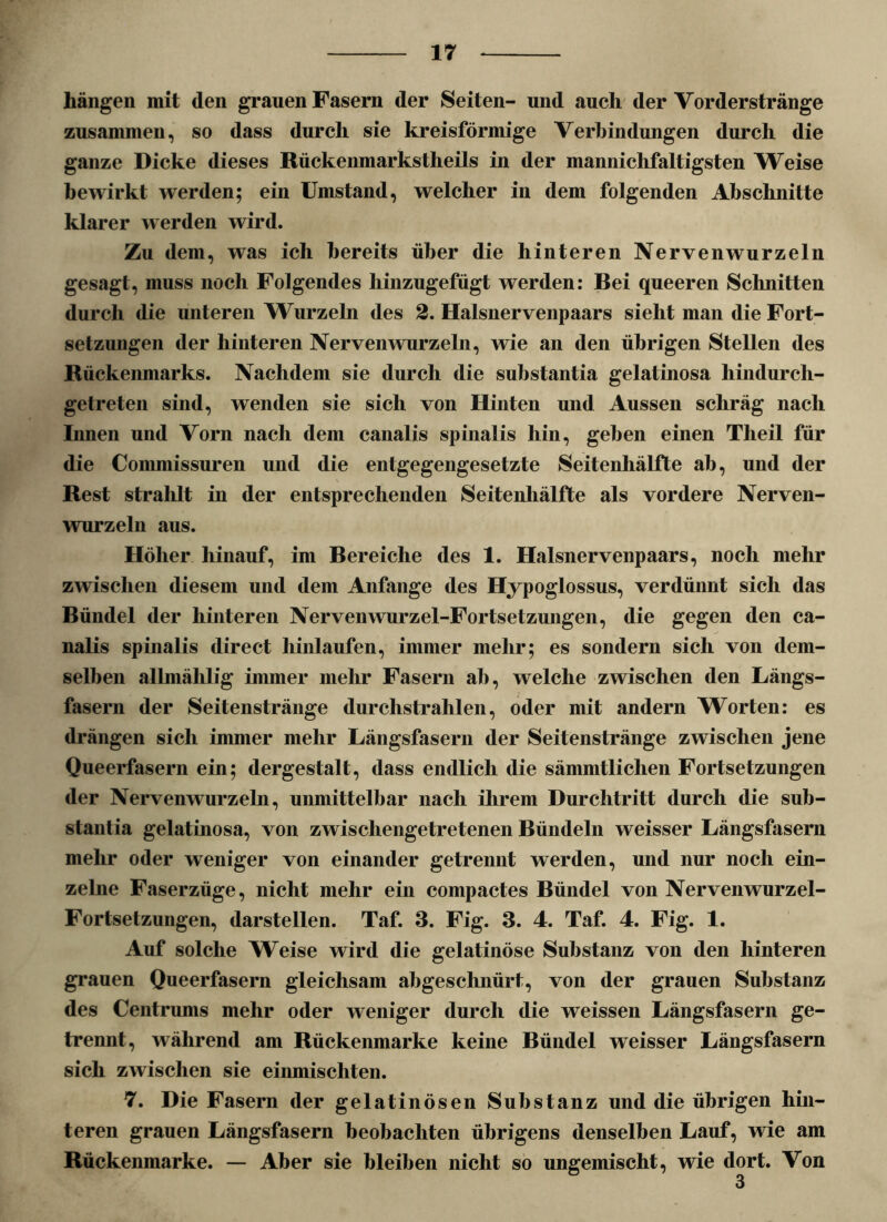 hängen mit den grauen Fasern der Seiten- und auch der Vorderstränge zusammen, so dass durch sie kreisförmige Verbindungen durch die ganze Dicke dieses Rückenmarkstlieils in der mannichfaltigsten Weise bewirkt werden; ein Umstand, welcher in dem folgenden Abschnitte klarer werden wird. Zu dem, was ich bereits über die hinteren Nervenwurzeln gesagt, muss noch Folgendes hinzugefügt werden: Bei queeren Schnitten durch die unteren Wurzeln des 2. Halsnervenpaars sieht man die Fort- setzungen der hinteren Nerven wurzeln, wie an den übrigen Stellen des Rückenmarks. Nachdem sie durch die substantia gelatinosa hindurch- getreten sind, wenden sie sich von Hinten und Aussen schräg nach Innen und Vorn nach dem canalis spinalis hin, geben einen Theil für die Commissuren und die entgegengesetzte Seitenhälfte ab, und der Rest strahlt in der entsprechenden Seitenliälfte als vordere Nerven- wurzeln aus. Höher hinauf, im Bereiche des 1. Halsnervenpaars, noch mehr zwischen diesem und dem Anfänge des Hypoglossus, verdünnt sich das Bündel der hinteren Nervenwurzel-Fortsetzungen, die gegen den ca- nalis spinalis direct hinlaufen, immer mehr; es sondern sich von dem- selben allmählig immer mehr Fasern ab, welche zwischen den Längs- fasern der Seitenstränge durchstrahlen, oder mit andern Worten: es drängen sich immer mehr Längsfasern der Seitenstränge zwischen jene Queerfasern ein; dergestalt, dass endlich die sämmtliclien Fortsetzungen der Nervenwurzeln, unmittelbar nach ihrem Durchtritt durch die sub- stantia gelatinosa, von zwischengetretenen Bündeln weisser Längsfasern mehr oder weniger von einander getrennt werden, und nur noch ein- zelne Faserzüge, nicht mehr ein compactes Bündel von Nerven wurzel- Fortsetzungen, darstellen. Taf. 3. Fig. 3. 4. Taf. 4. Fig. 1. Auf solche Weise wird die gelatinöse Substanz von den hinteren grauen Queerfasern gleichsam abgeschnürt, von der grauen Substanz des Centrums mehr oder weniger durch die weissen Längsfasern ge- trennt, während am Rückenmarke keine Bündel weisser Längsfasern sich zwischen sie einmischten. 7. Die Fasern der gelatinösen Substanz und die übrigen hin- teren grauen Längsfasern beobachten übrigens denselben Lauf, wie am Rückenmarke. — Aber sie bleiben nicht so ungemischt, wie dort. Von