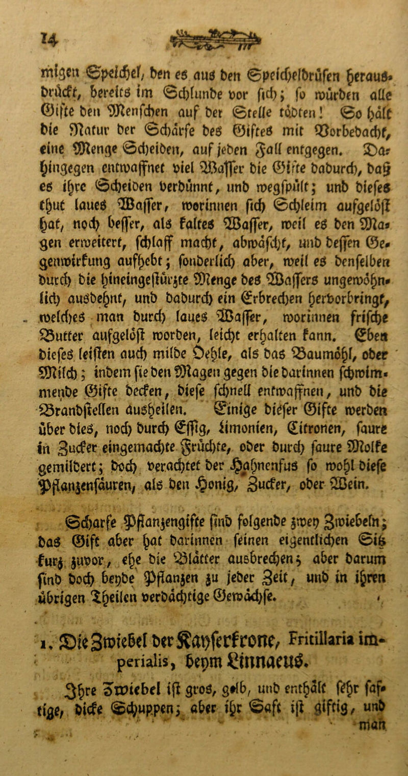 migcn ©peicfjef, ben eg nug ben 0peid)e(brüfen £>erau$» bt’ücft, bereitg im 0d)lunbe oor fid> j fo mürben alle ©ifte beu üftenfcben auf bet (Stelle tobten! 0o halt bie ffiafur ber 0d)arfe beg ©ifteg mit 93orbebad)f, eine COtenge 0d)eiöen, aufjeben Jall entgegen. £)a? hingegen entwaffnet oiel Gaffer bie ©ir're baburd), bafi eg if;rc 0d)eiben berbünnt, unb megfpüft; unb biefes tf)ut laueg Gaffer, roorinnen ftd) 0d)leim aufgelofl (jat, nod) befler, alö falteg $Baffer, weil eg ben SD2a« gen erweitert, macht, abwafdjf, tmbbejfen ©e* genmirfung auff>ebt; fouberfid) aber, weil eg benfelben butd) bie Ijtnemgeflürjte SDcenge beg 3Bajfcrg ungewofm«- Üd) angbe^nt, unb baburd) ein (£rbred)en Ijerborbringf, toeld)eg man burd) laueg 2öaffer, n>orinnen frifche Butter aufgeloß rcorben, leicht erhalten fann. (Ebea biefeg leiden aud) milbe De^le, a(g bag ^öaumö^l, ober Sftild); inbem fie beu Klagen gegen bie barinnen febrofm« menbe ©ifte beefen, biefe fd)nell entwaffnen, unb bie SSranbjMen aug^eilen. ©inige biefer ©ifte werben über bieg, nod) burd) €j]tg, iimonten, ditronen, faure in eingemachte grüct)^ ober burd) faure SDiolfe gemilbert; bed) »erachtet ber ^aljnenfus fo mo^l biefe ^fian^enfauren, alg ben $onig, Sucfer, ober 2Bein. ©djarfe 93pan$engiffe (mb folgenbe $wep Swiebefn; bag ©ift aber §at barinnen feinen eigentlichen ©ifc fur$ juoor, e^.e bie Blatter ausbrechen* aber barum fmb bod) bepbe ?>flan$en $u jeber Seit, unb in i&ren übrigen feilen »erbachtige ©emäd)fe. i, Sic3roie6elber^at)ferfrone^ Fritillamim- perialis, benm CttUtaCUÖ. 3&re atmcbel ifi grog, gtlb, unb enthalt fe$r faf# tiae, biefe ©d)uppen; aber t£r ©aft tjl giftig, unb ' ‘ * - man