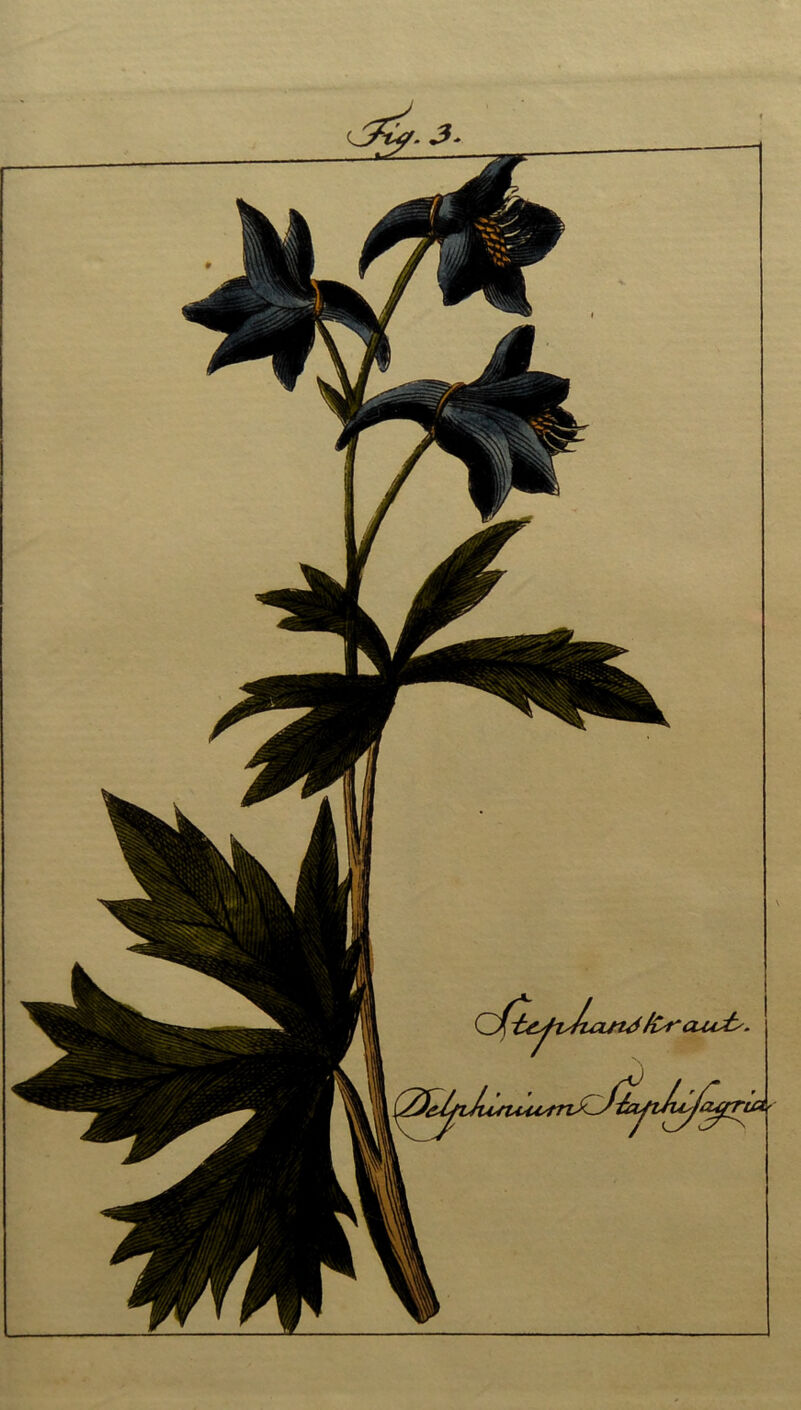 — — ■ ■ - ' ■■■■■'■ —---