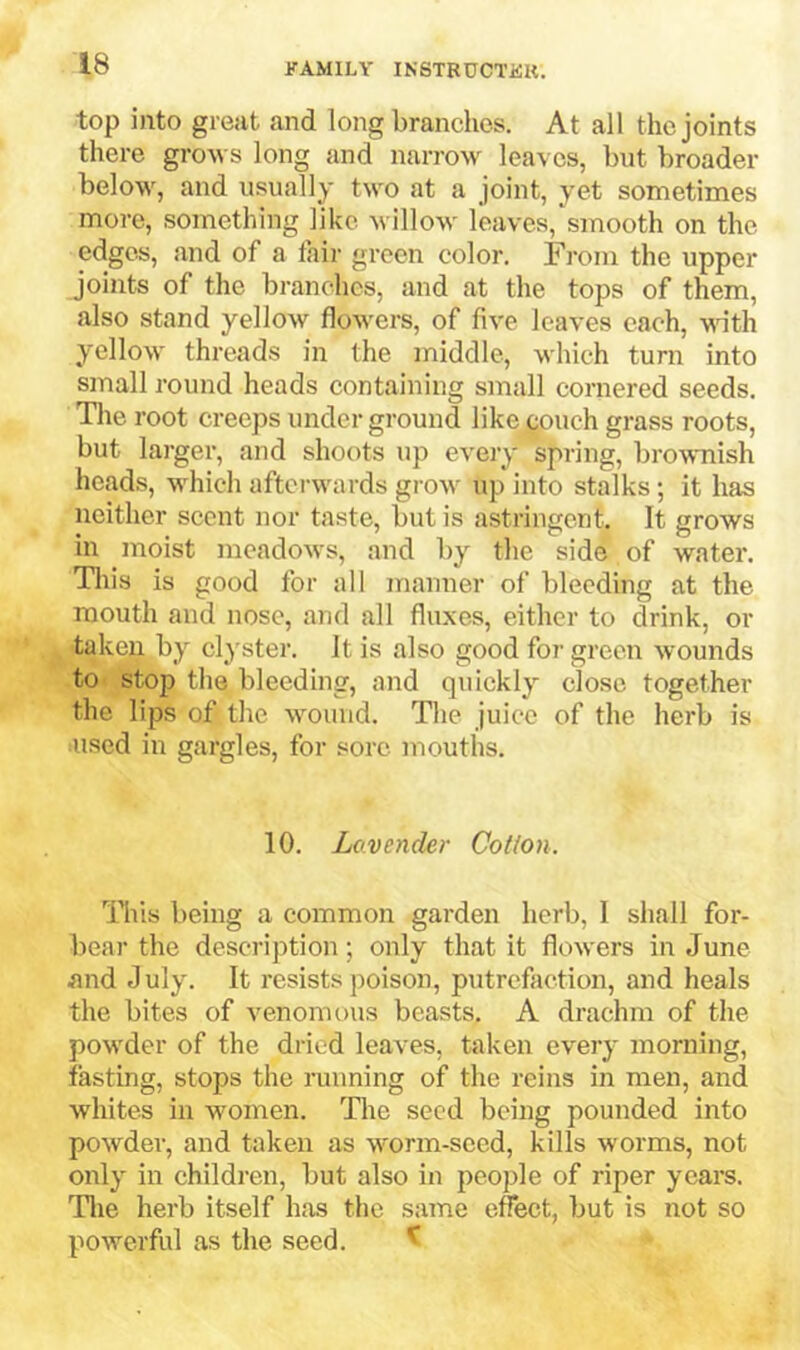 top into great and long branches. At all the joints there grows long and nan-ow leaves, but broader below, and usually two at a joint, yet sonaetimes more, something like willow leaves,'smooth on the edges, and of a fair gi’een color. From the upper joints of the branches, and at the tops of them, also stand yellow flowers, of five leaves each, wth yellow threads in the middle, which turn into small round heads containing small cornered seeds. The root creeps under ground like couch grass roots, but lai-ger, and shoots \ip eveiy spring, brownish heads, which afterwards grow up into stalks; it has neither scent nor taste, but is astringent. It grows in moist meadows, and by the side of water. Tins is good for all manner of bleeding at the mouth and nose, and all fluxes, either to drink, or taken by clyster. It is also good for green wounds to stojj the bleeding, and quickly close together the lips of the wound. The juice of the herb is used in gargles, for sore mouths. 10. Lavender Cotton. nils being a common garden herb, 1 shall for- bear the description; only that it flowers in June Jind J uly. It resists poison, putrefaction, and heals the bites of venomous beasts. A drachm of the powder of the dried leaves, taken every morning, fasting, stops the running of the reins in men, and whites in women. The seed being pounded into powder-, and taken as worm-seed, kills worms, not only in children, but also in people of riper years. Tire herb itself has the same effect, but is not so powerful as the seed. ^