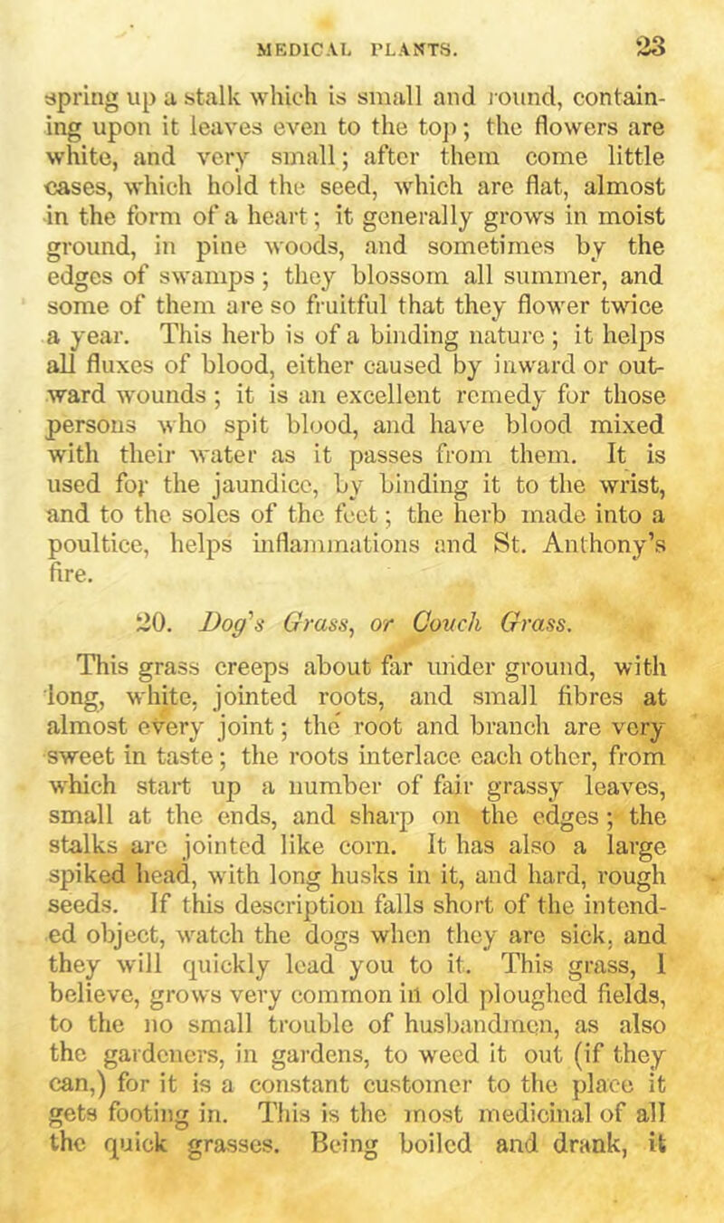spring up u stalk which is small and l ound, contain- ing upon it leaves even to the toj); the flowers are white, and very small; after them come little cases, which hold the seed, which are flat, almost in the form of a heart; it generally grows in moist ground, in pine woods, and sometimes by the edges of swamps; they blossom all summer, and some of them are so fruitful that they flower twice a year. This herb is of a binding natui-c ; it helps all fluxes of blood, either caused by inward or out- ward wounds; it is an excellent remedy for those persons who spit blood, and have blood mixed with their water as it passes from them. It is used fo}' the jaundice, by binding it to the wrist, and to the soles of the feet; the herb made into a poultice, helps inflainmations and St. Anthony’s fire. 20. Dog's Grass, or Covch Grass. This grass creeps about far under ground, with long, white, jointed roots, and small fibres at almost every joint; the’ root and branch are very sweet in taste ; the roots interlace each other, from w'hich start up a number of fair grassy leaves, small at the ends, and sharp on the edges; the stalks arc jointed like corn. It has also a large spiked head, with long husks in it, and hard, rough seeds. If this description falls short of the intend- ed object, watch the dogs when they are sick, and they will cpiickly lead you to it. This grass, 1 believe, grows very common in old ploughed fields, to the no small trouble of husbandmen, as also the gardeners, in gardens, to weed It out (if they can,) for it is a constant customer to the place it gets footing in. This is the most medicinal of all the fjuick grasses. Being boiled and drank, it