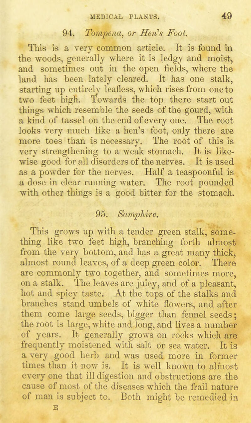 94. Tompena, or Hen's Foot. Tliis is a very common article. It is found in the woods, generally where it is ledgy and moist, and sometimes out in the open fields, where the land has been lately cleared. It has one stalk, starting up entirely leafless, which rises from one to two feet high. Towards the top there start out things which resemble the seeds of the gourd, with a kind of tassel on the end of every one. The root looks very much like a hen’s foot, only there are more toes than is necessary. The root of this is very strengthening to a weak stomach. It is like- wise good for all disorders of the nerves. It is used as a powder for the nerves. Half a teaspoonful is a dose in clear ruiming water. The root pounded with other things is a good bitter for the stomach. 95. Samphire. This grows up with a tender green stalk, some- thing lik^e two feet high, branching forth almost from the very bottom, and has a great many thick, almost round leaves, of a deep green color. There are commonly two together, and sometimes more, on a stalk. The leaves are juley, and of a pleasant, hot and spicy taste. At the tops of the stalks and branches stand umbels of white flowers, and after them come large seeds, bigger than feimel seeds; the root is large, white and long, and lives a number of years. It generally grows on rocks which are frequently moistened with salt or sea water. It is a very good herb and was used more in former times than it now is. It is well known to alniost every one that ill digestion and obstructions are the cause of most of the diseases which the frail nature of man is subject to. Both might be remedied in E