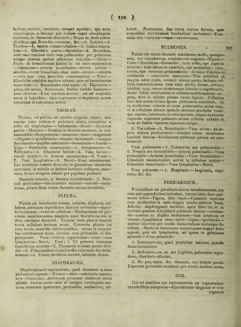 larihus, carncis, constans; semper apertus; qui ante ocsophagum, a larynge per collum super oesopliagum extensus, in thoraccm descendit; ibique in duos ramos dividitur, qui Bronchia, vocantur, &c.—1. Larynx—2. Trachea—1. tunica extima cellulosa—2. tunica muscu- losa—3. Glandul* parva—thyroidea—4. Bronchi®, sunt rami tracheae inter vasa pulmonalia per pulmones ubique distensi quibus adhaerent vesicul*—Ortus—■ Fines: de bronchiorum finibus lis est inter anatomicos —Opiniones— arteriae bronchiales—dextra arteria — sinistra—venae bronchiales du* sunt—dextra—sinistra —vasa haec cum bronchiis communicant — Nervi—- Glandulae notabiles trachea: adsunt, quae ad humectand® inserviunt—1. Bronchiales sunt nigrae—2. Thy'roidea— plena est seroso, flavescente, lenitur viscido huraore— usus incerrus—Usus tracheae arteriae : est ad respirati- onem et loquelam ; dum respirainus ct loquimur, aerem introrsum etoxtrorsum mittit. THORAX. Tliorax, vel pectus, est medius corporis venter, sivc cavitas inter collum ct abdomen situm, extenditur a collo ad diaphragina — Substantia—divisio—Extern* partes—Mammae—Nomina in faeminis mammae, in viris mammillae—Integumenta—numerus—situs— magnitudo —Figura pulchritudo—tempus incrementi —tempus dccrementi—papillae substantia— foraminula—Areola— Usus— Substantia mammarum—1. Integumenta—2. Substantia—3. Glandulae lacte®—4. Vasa laetea— tubuli lactiferi—5. Arteriae mammarum—6. Venae—• 7. Vasa lymphatica—8. Nervi—Usus mammarum. Lac nutritioni infantis dicatum, in glandulosa substantia secernere, in tubulis et finibus lactiferis colligere, asser- vare, et suo tempore infanti per papillam praebere. Mammis remotis, in thorace consideranda : 1. Mus- culi pectorales—intercostales externi—interni—mem- brana, pleura dicta to turn thoracis cavurn investiens. PLEURA. Pleura est membrana crassa, robusta, diaphana, cel- lularis, internam superficiem thoracis investiens—super- ficies interna—externa cellulosa—Mediastinum est pro- cessus membranaceus magnus, quod thoracis cavum in duas cavitates discernit. Constat binis pleurae laminis textu celluloso invicem ncxis. Connexio pleurae est cum costis, musculis intercostalibus, sterno ct corpori- bus vertebrarum dorsi, interius cum pericardio et dia- phragmate. Vasa—arteria; copiosissitna:—venae—vasa lymphatica—Nervi. Usus: 1. Ut pectoris internam superficiam ainiciat—2. Thoracem inbinas partes divi- dat—3. Pulmonalibus et pericardio externam dat mem • branam—4. Totum thoracem investit, lubricat, firmat. DIAPHRAGMA. Diaphragmaest sepimentum, quod thoracem a cavo abdominali separat—Numen—situs—substantia inuscu- losa—Connexio: Antrorsiim processui ensiformi sterni uRimis duabus costis veris et margini cartilagineo om- nium costarum spuriarum, pericardio, mediastino, ad- haeret. Postrorsum, duo crura carnea formta, qua corporibus vertebrarum lumbarium nectuntur—Fora- mina tria—arteriae—vena;—nervi—usus. PULMONES. - 282 Pulmo est viscus thoracis maximum, molle, spongio- sum, cor complcctens, respirationis organon—Figura— Color—Involucra—Connexio : cum collo, ope asperiae arteriae ; cum sterno et vertebris, ope mediastini; cuin- corue, ope vasorutn pulmonalium—divisio—Fabrica— substantia — vesicularis spongiosa—Tela cellulosa in. magna adest copia, revincit omnes partes facitque cel- lulas comtnunicantes cum vasis aereis, firmat, ordinat, stabilat, vasa, omnes minimosque lobulos comprehendit, donee lobuli resolvantur in cellulas membranaceas exi • guas, acre in adulto plenas vari® figurae. Cellulosa haec tela aucta ultimo ipsum pulmonem constituit. In ea dividuntur arteriae et venae pulmonales, aerea vasa, et in cellulosa; ultimee spatiolis minimae arteriolae venae- que repunt, intertexl* in retis speciem, ibique et arteriae vaporem copiosum pulmonis aereas cellulas exhalet et vena ab iisdem vaporem aquosuiu recipit. 2. Vasculosa—3. Bronchialis—Vasa ai-rea : ab as- pera arteria producuntur—Interior etiain membrana tracheae nervea—Involucrum pulmonis pleura est con- tinuatio. Vasa pulmonum—1. Communia seu pulmonalia— 2. Propria seu bronchialia—Arteria pulmonalis—Vena pulmonalis—Arteriae bronchiales—Venae bronchiales— Glandul® innumerabiles sedent in cellulosa tunica— Glandul® bronchiales—Vasa lymphatica—Nervi. Usus pulmonis—• 1. Respiratio — Inspiratio, expi- ratio, &c. &c. PERICARDIUM. Pericardium est peculiars saccus membranaceus, cor cum suis appendicibus includens, haerens inter duos pul- monis lobos—Figura, 284—basis—Connexio superius cum mediastino et vasis magnis cordis caeheret basis. Inferius: diaphragmati nectitur, apex liber est, et in cavitate quadam lobi sinistri pulmonis t'ovetur—substan- tia—constat ex duplici membrana—vasa arteriosa et ■ venosa—lymphatica vasa—nervi—liquor—pericardii— videtur inservire pro cordis humectatione motusque fa- cilitate- -Morbi in immensum nonnunquam augent hanc aquam, quae est lymphatica, ad ignem in gelatinam spissecit.—Usus pericardii: 1. Sustentare cor, quasi pendulum maxime, quando dorso incumbitur. 2. Dcfendere cor, no aer frigidior, pulmonem ingre- diens, illud forte offendat. 3. Ne pus, aqua, &c. thoracis, cor lmdere possit. Liquorem pericardii continere pro cordis faciliori motu. COR. Cor est machina seu instrumentum ex copiosissimis carneisfibris composita—Circulationis sanguinis et vita; organum