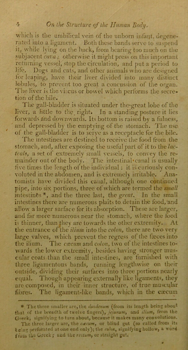 which is the umbilical vein of the unborn infaijt, degene- rated into a ligament. Both these bands serve to suspend it, while lying on the back, from bearing too much on the subjacent car a; otherwise it might press on this important returning vessel, stop the circulation, and put a period to life. Dogs and cats, and other animals who are designed tor leaping, have their liver divided into many distinct lobules, to prevent too great a concussion of the organ. The liver is the circus or bowel which performs the secre- tion of the bile. The gall-bladder is situated under thc*great lobe of the liver, a little to the, right. In a standing posture it lies forwards and downwards. Its bottom is raised by a fulness, and depressed by the emptying of the stomach. The use of the gall-bladder is to serve as a receptacle for the bile. The intestines are destined to receive the food from the stomach, and, after exposing the useful part of it to the lac- tcals, a set of extremely small vessels, to convey the re- mainder out of the body. The intestinal* canal is usually live times the length of the individual: it is curiously con- voluted in the abdomen, and is extremely irritable. Ana- tomists have divided this canal, although one continued pipe, into six portions, three of which are termed the small intestines *, and the three last, the great. In the small intestines there are numerous plaits to detain the food, and allow a larger surface for its absorption. These are larger, and far more numerous near the stomach, where the lood is thinner, than lliey are towards the other extremity. At the entrance of the ilium into the colon, there are two very large valves, which prevent the regress of the frees into the ilium. The ccccum and colon, two of the intestines to- wards the lower extremity, besides having stronger mus- cular coats, than the small intestines, are furnished with three ligamentous bands, running lengthwise on their outside, dividing their surfaces into three portions nearly equal. Though appearing externally like ligaments, they are composed, in their inner structure, of true muscular fibres. The ligament-like bands, which in the caecum * The three smaller arc, the duodenum (from its length being about that of the breadth of twelve fingers), jejunum, and ilium, from the Greek, signifying to turn about, because it makes many convolutions. The three larger arc, the cacum, or blind gut (so called from it-s l e ng perforated atone end only); the cofon, signifying hollow, a word from tilt Greek; end the rectum} or straight gut.